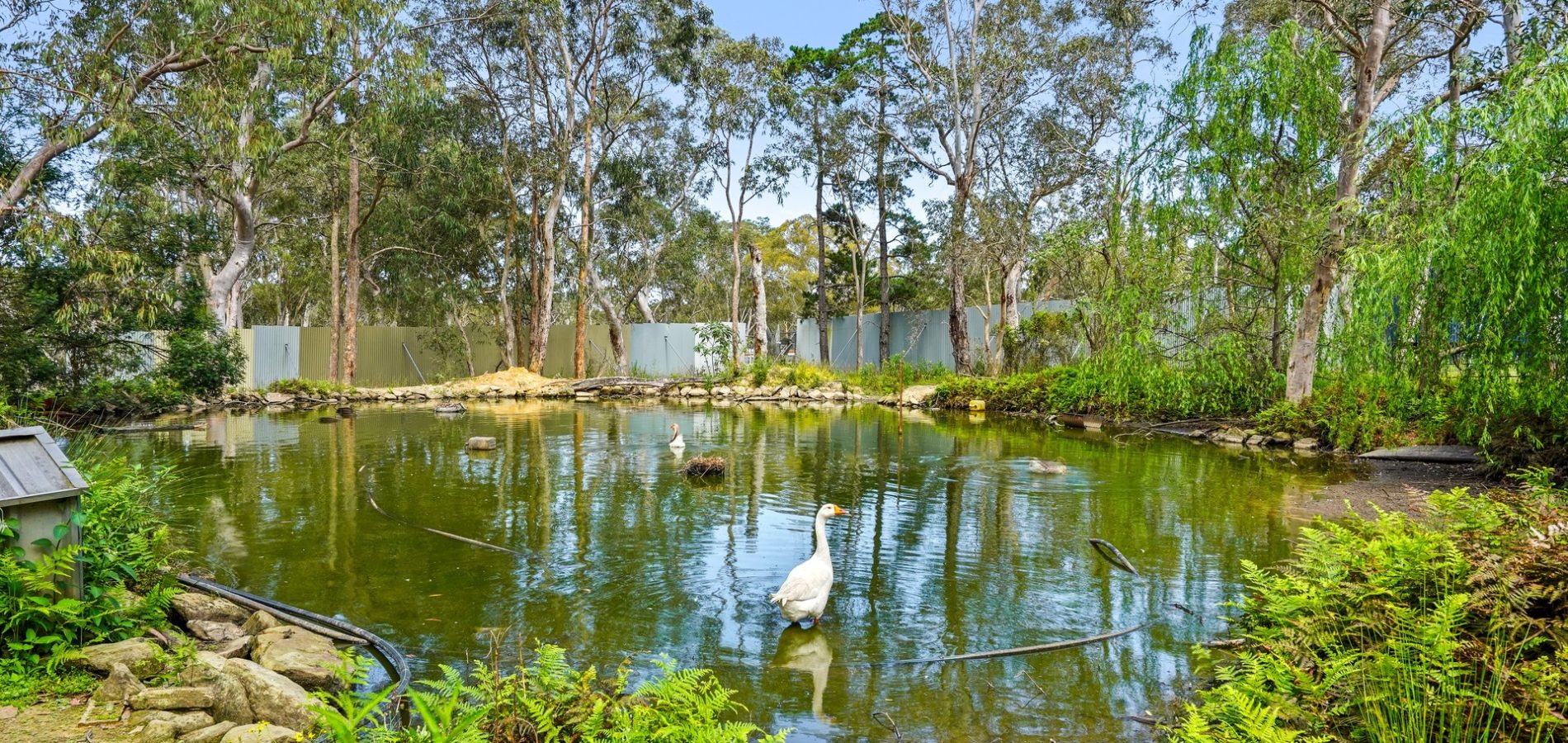 Sold - 180 Stannix Park Road - New Property in Wilberforce - Real Estate by Greg Vincent
