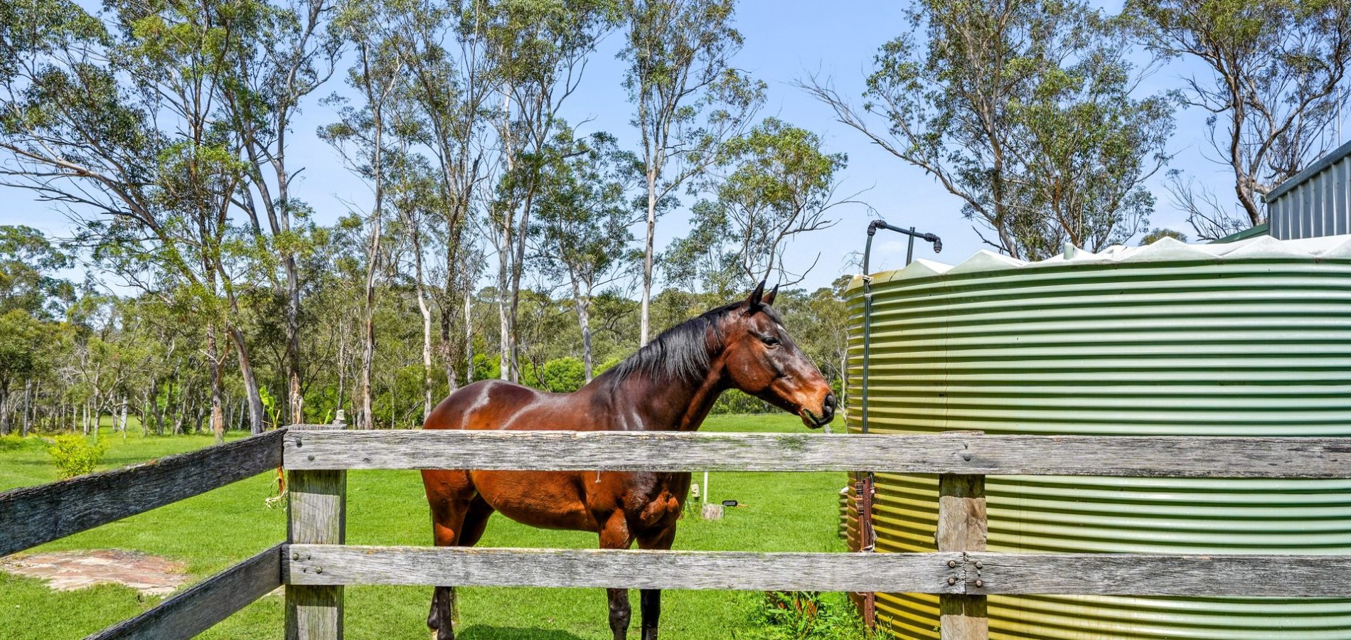 Sold - 180 Stannix Park Road - New Property in Wilberforce - Real Estate by Greg Vincent