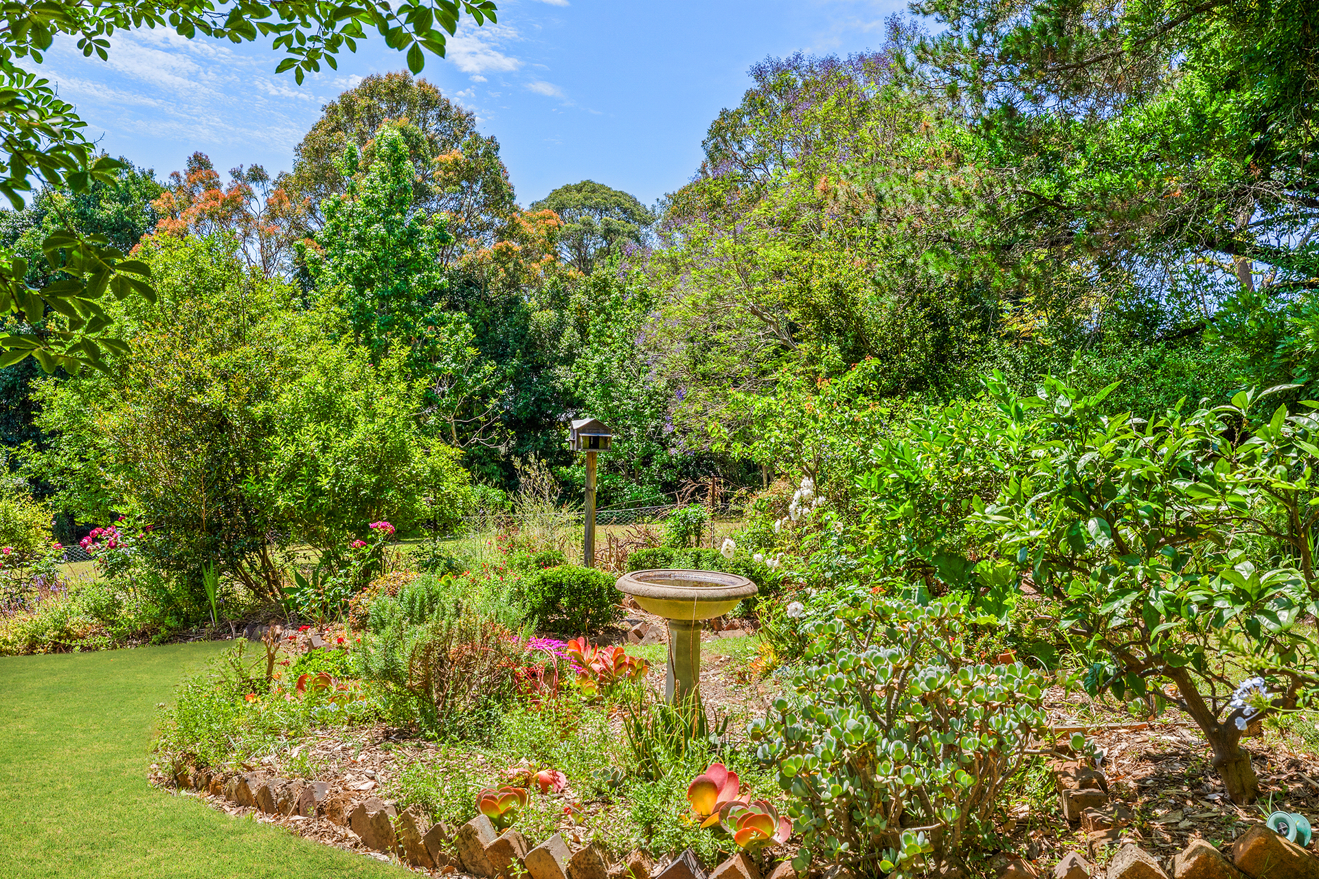 For Sale - 9-11 Radnor Road - New Property in Galston - Real Estate by Louis Stapleton