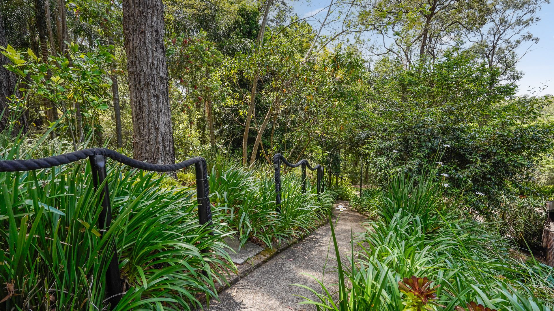 For Sale - 91 Serpentine Lane - New Property in Bowen Mountain - Real Estate by Greg Vincent