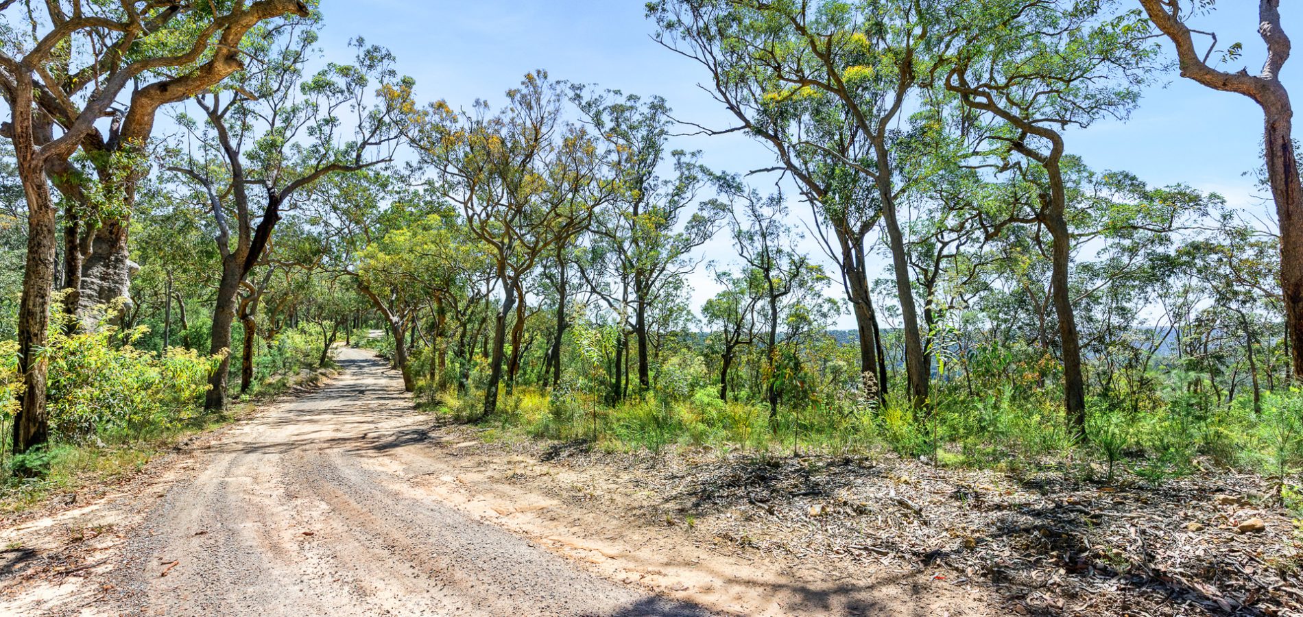 For Sale - 679 Cliftonville Road - New Property in Lower Portland - Real Estate by