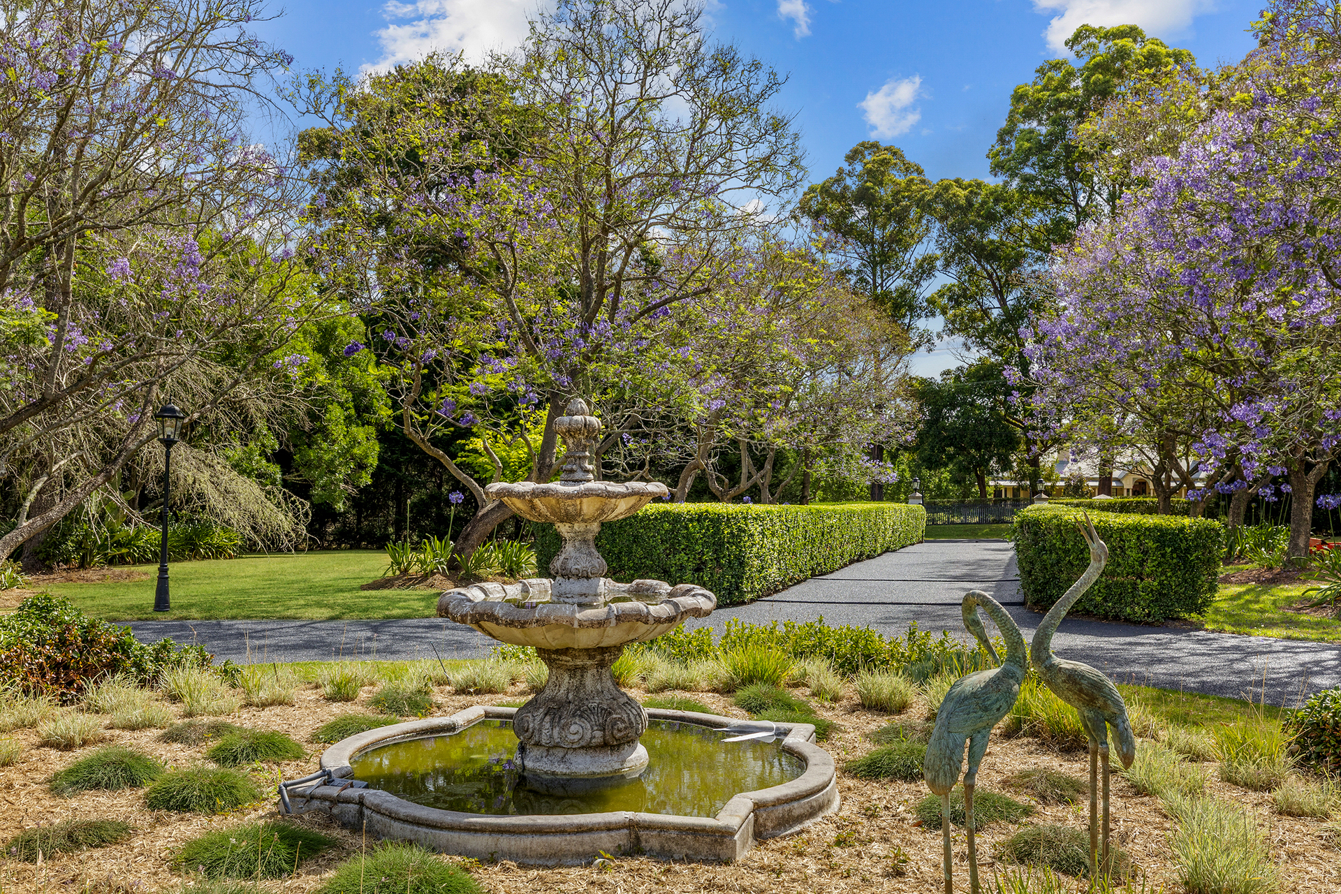 For Sale - 5 McLeod Road - New Property in Middle Dural - Real Estate by Louis Stapleton
