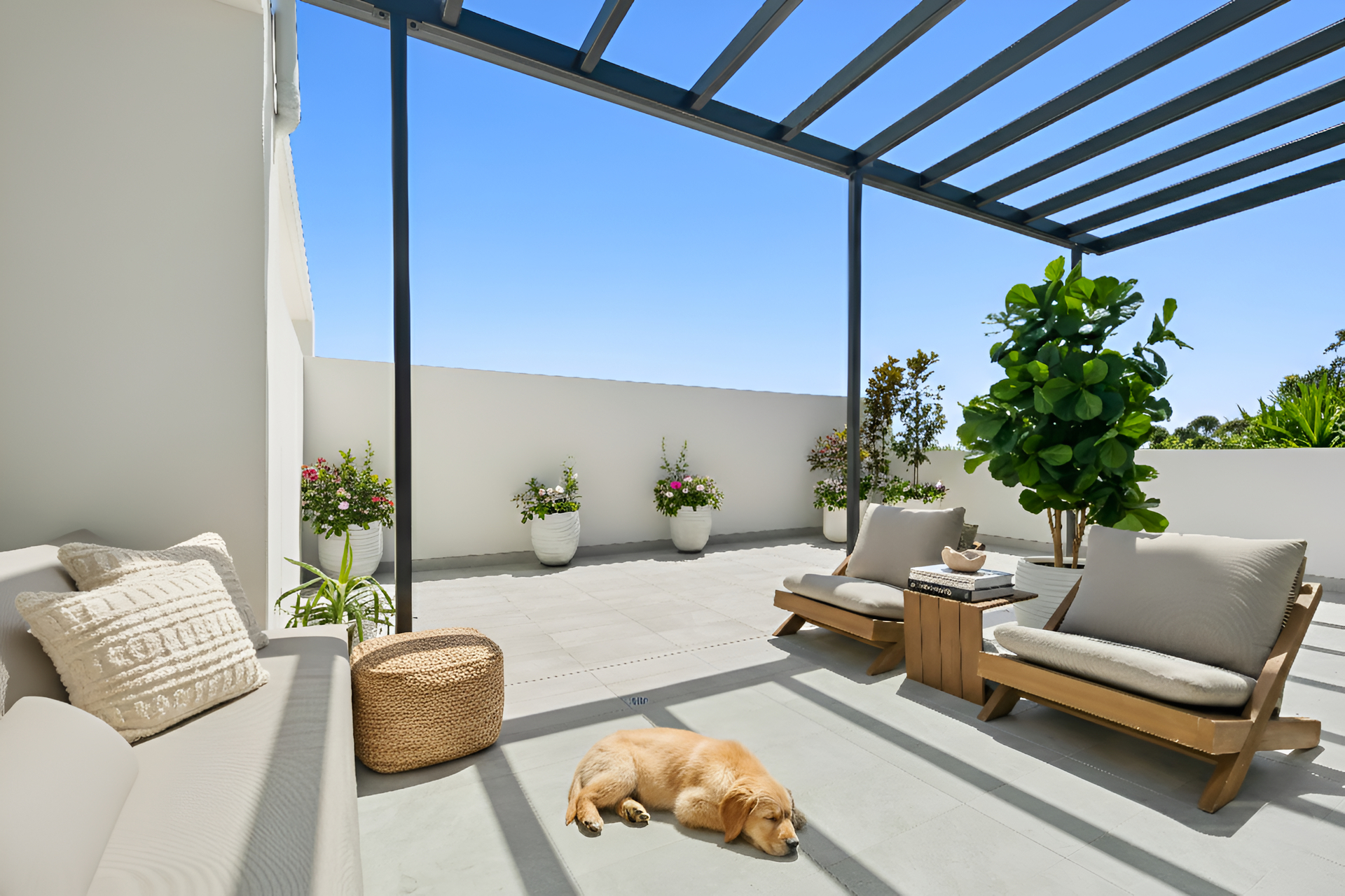 Sold - 41/17 Moseley Street - New Property in Carlingford - Real Estate by Teena Vaughan
