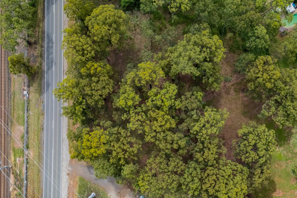 Sold - Lot 25/26 Section G, Riverstone Parade - New Property in Vineyard - Real Estate by Julie Grigg