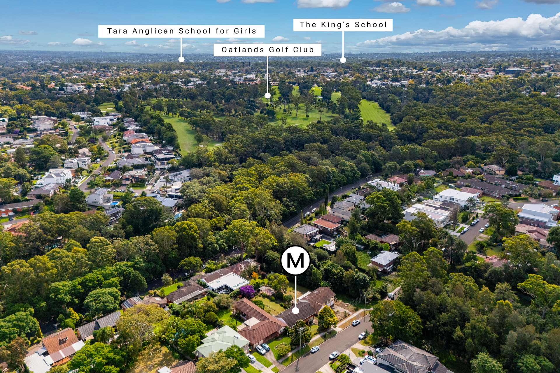 For Sale - 29 Leamington Road - New Property in Telopea - Real Estate by Stephen Mina