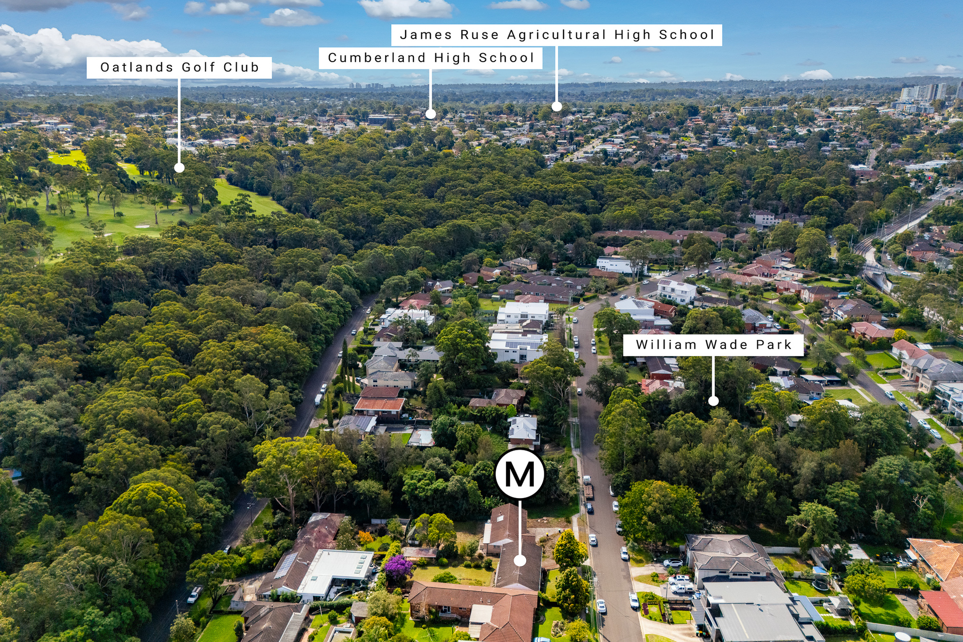 For Sale - 29 Leamington Road - New Property in Telopea - Real Estate by Stephen Mina