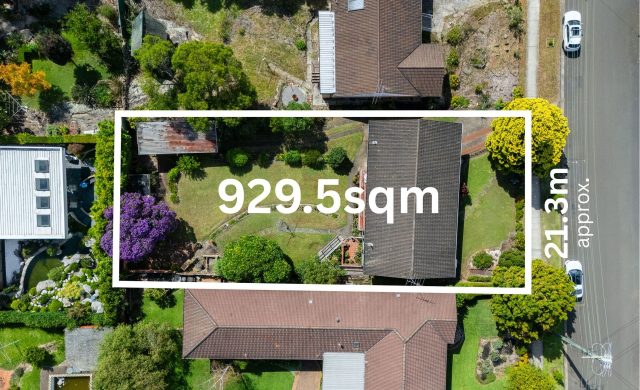 For Sale - 29 Leamington Road - New Property in Telopea - Real Estate by Stephen Mina