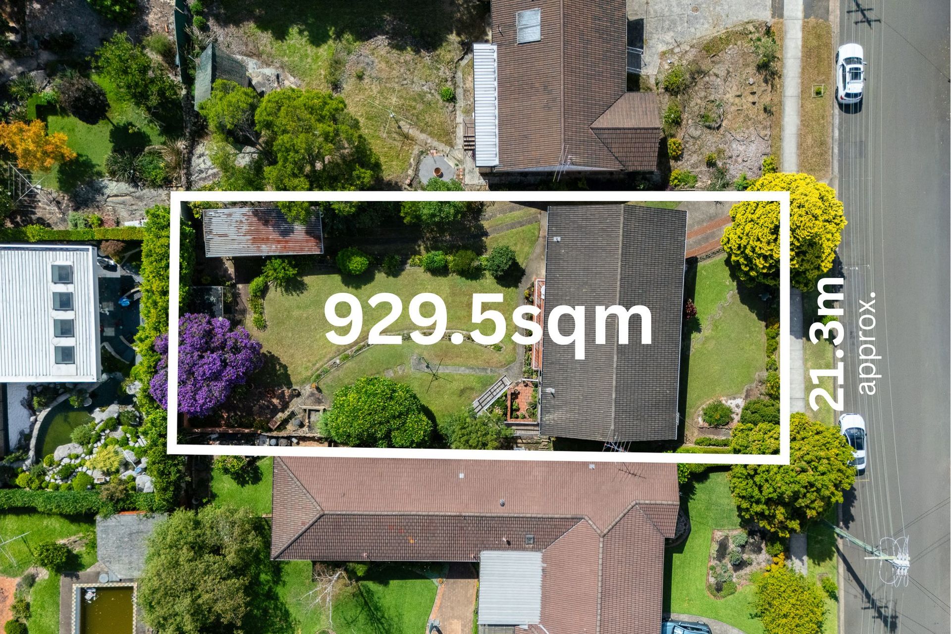 For Sale - 29 Leamington Road - New Property in Telopea - Real Estate by Stephen Mina