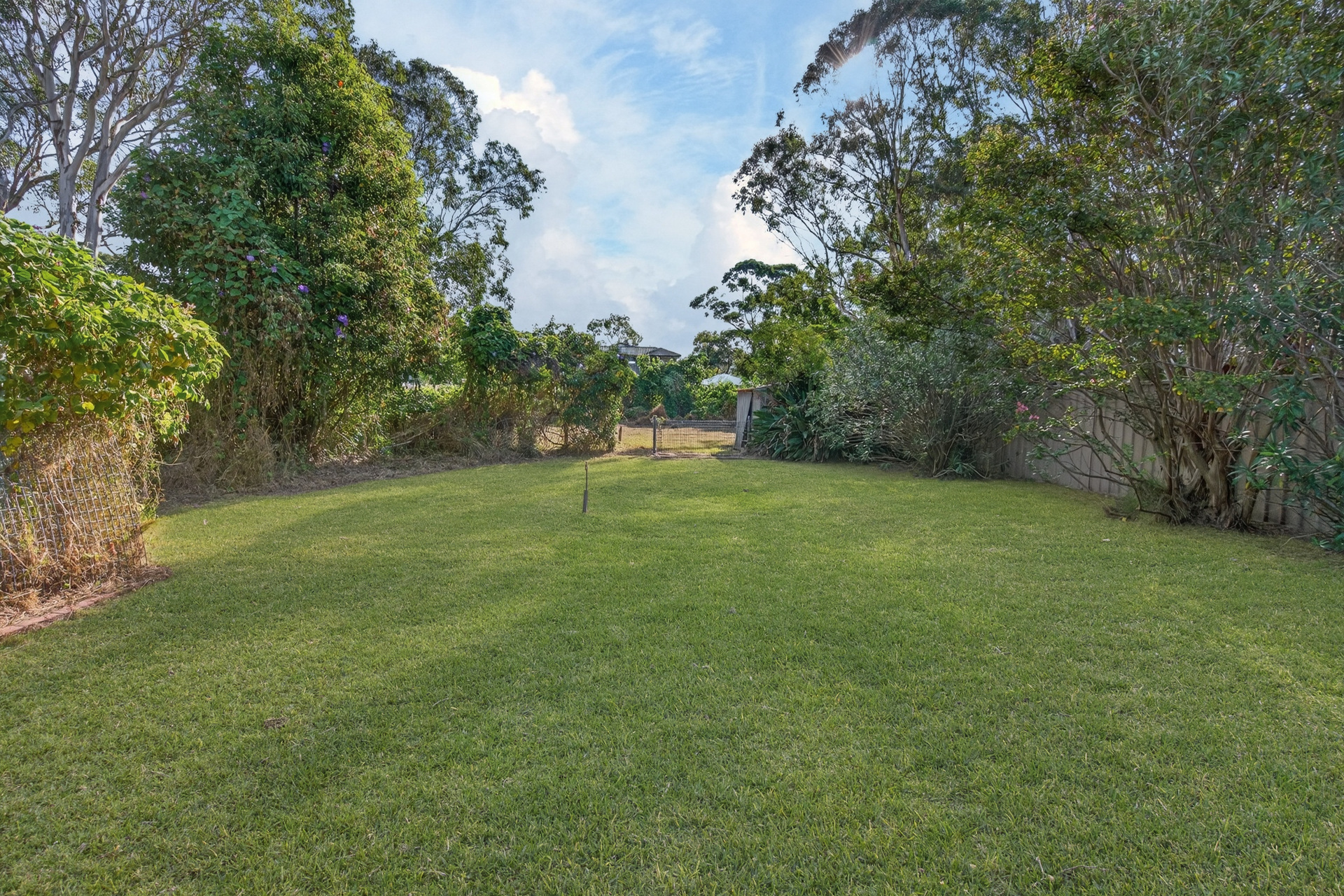 For Sale - 42 Budgeree Road - New Property in Toongabbie - Real Estate by Brad Panayiotou