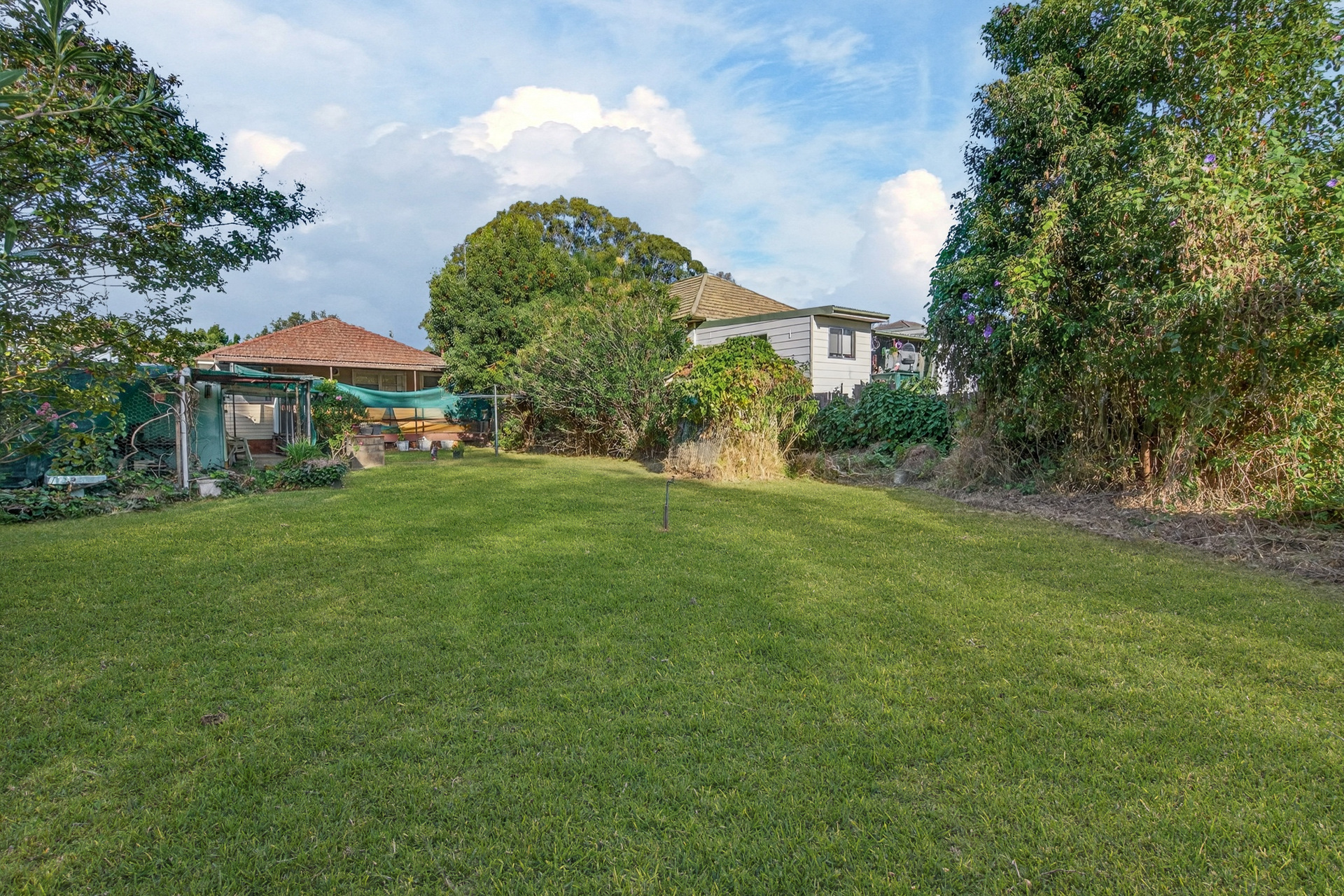For Sale - 42 Budgeree Road - New Property in Toongabbie - Real Estate by Brad Panayiotou