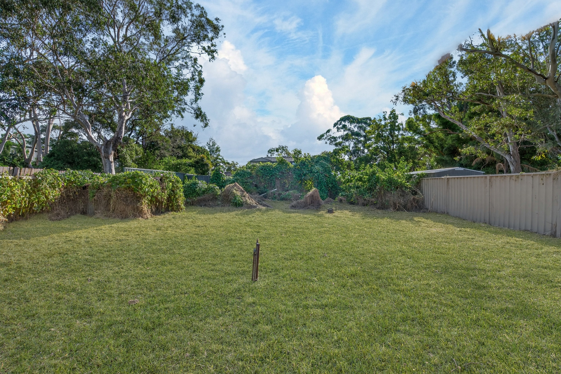 For Sale - 42 Budgeree Road - New Property in Toongabbie - Real Estate by Brad Panayiotou