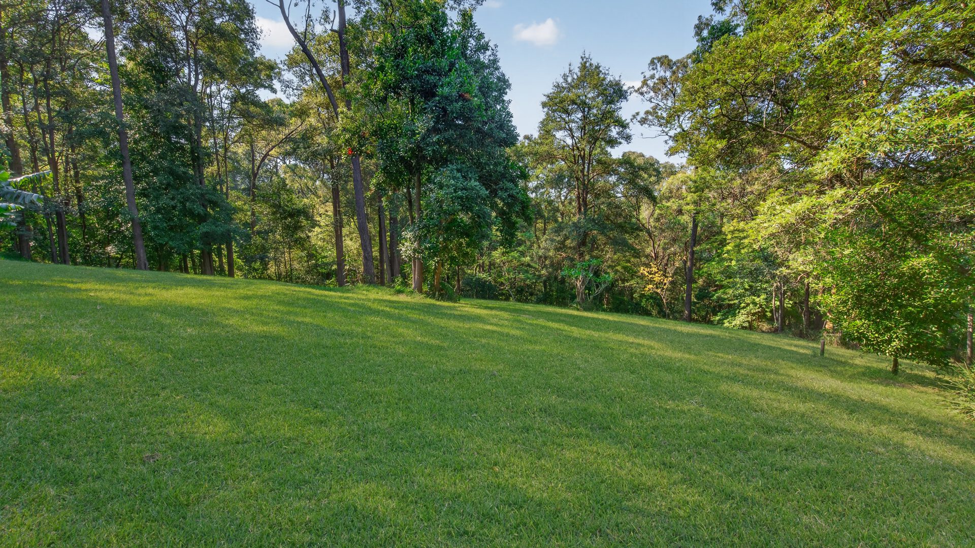 For Sale - 91 Serpentine Lane - New Property in Bowen Mountain - Real Estate by Greg Vincent