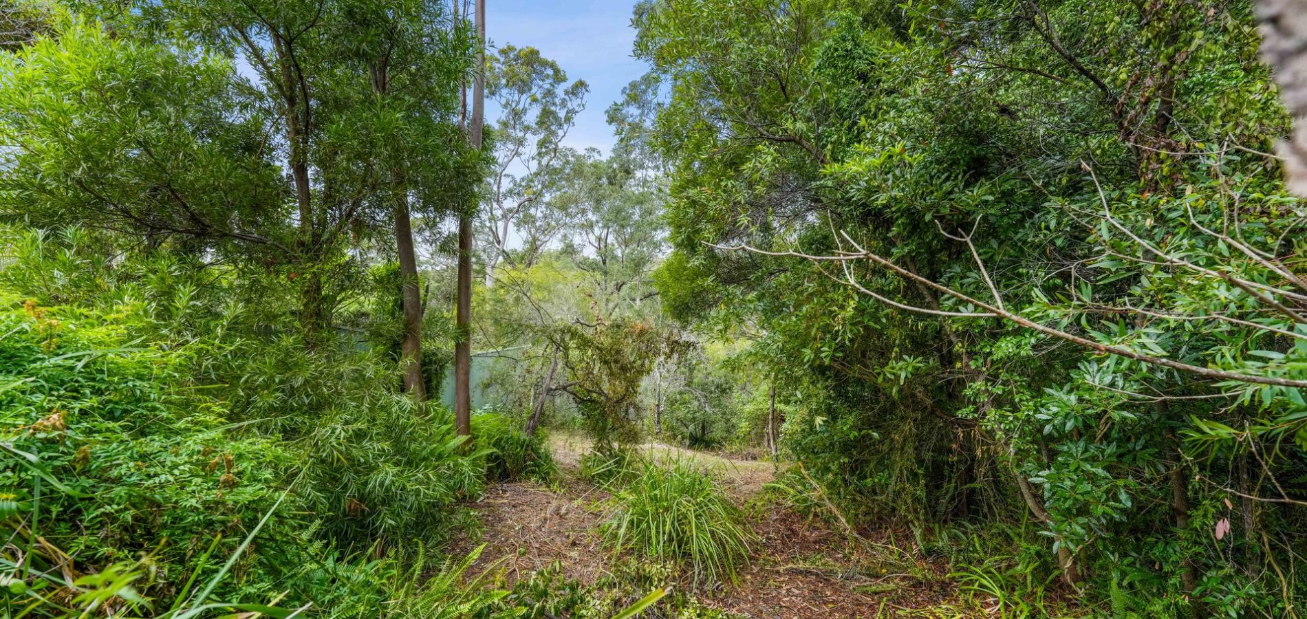 Sold - 12 Bedford Road - New Property in North Epping - Real Estate by Betty Ockerlander