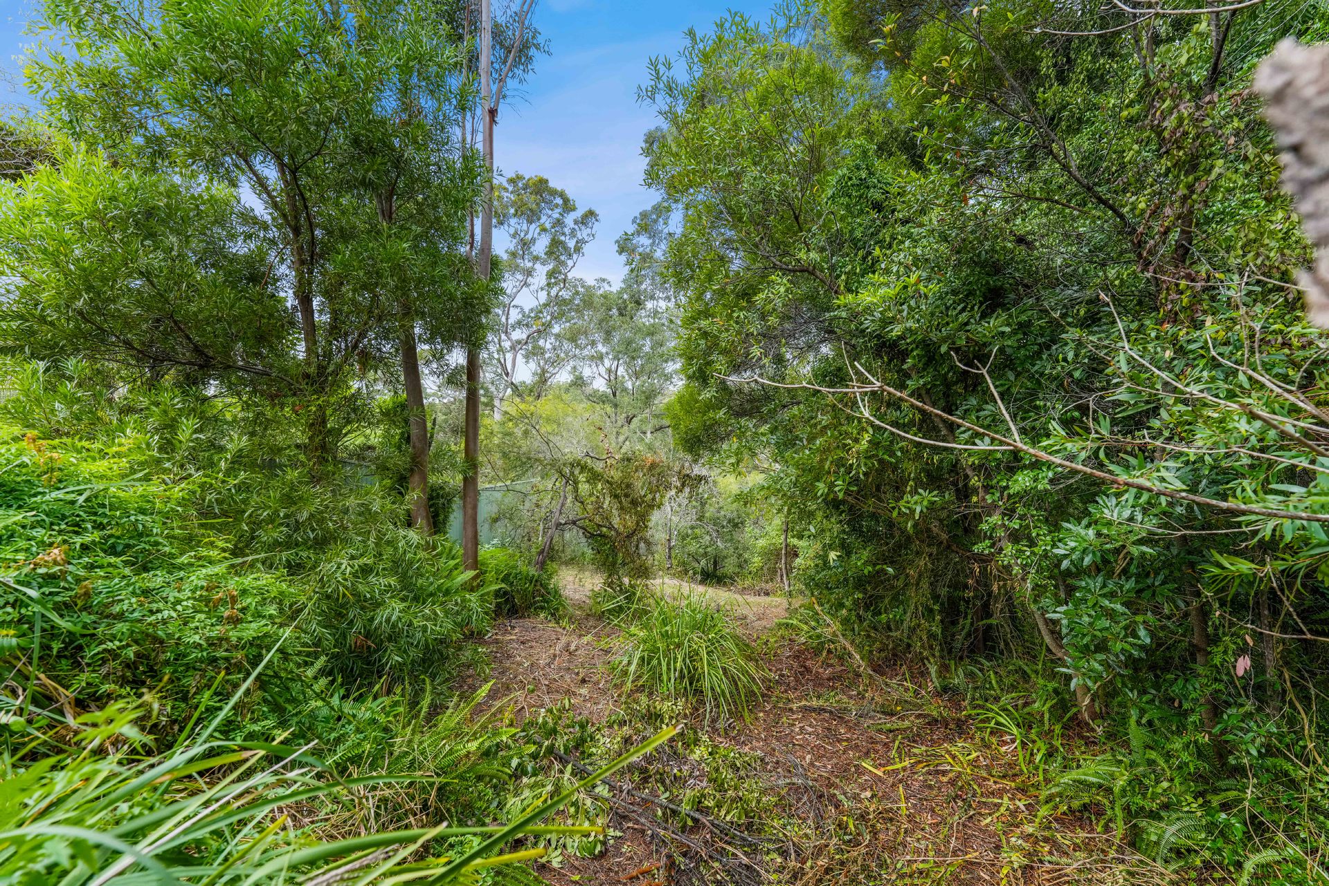 Sold - 12 Bedford Road - New Property in North Epping - Real Estate by Betty Ockerlander