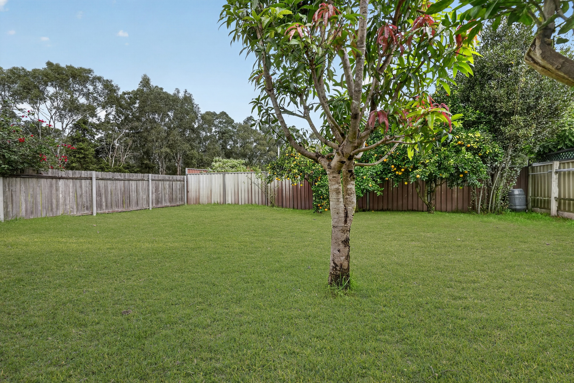 Auction - 1 Harris Road - New Property in Constitution Hill - Real Estate by Brad Panayiotou