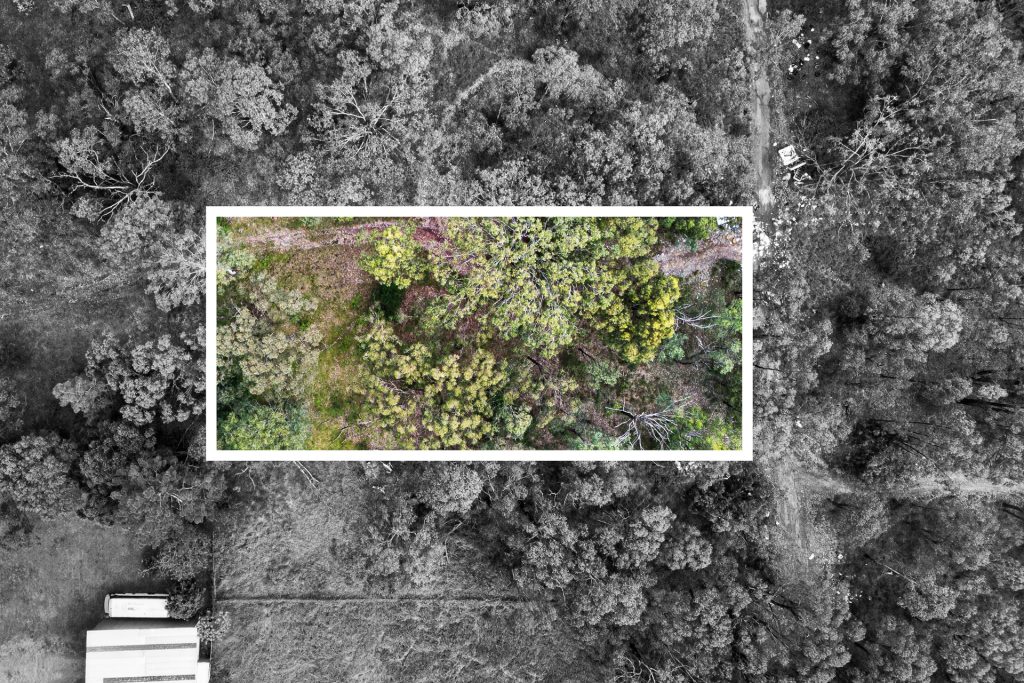 For Sale - Lots 12, 1 Sydney Street - New Property in Grantham Farm - Real Estate by Julie Grigg
