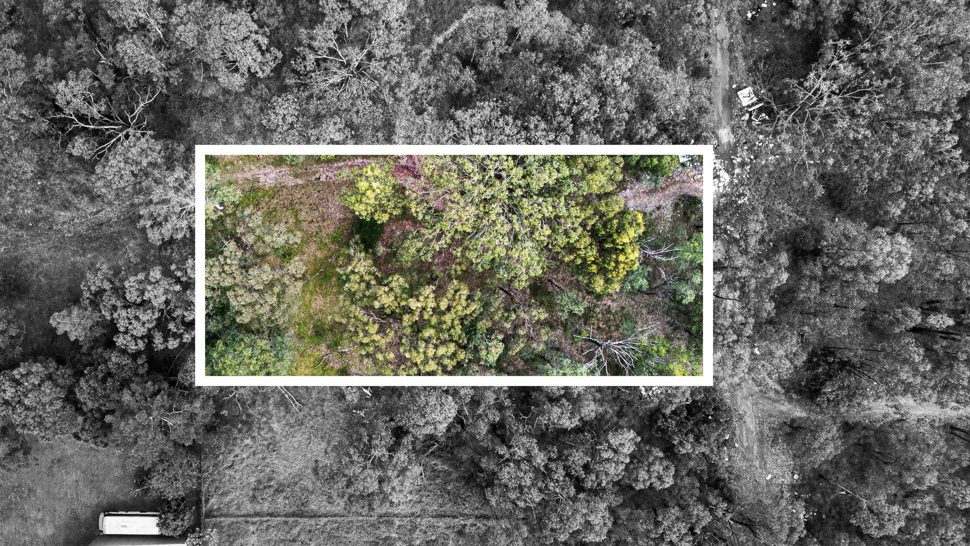 For Sale - Lots 12, 1 Sydney Street - New Property in Grantham Farm - Real Estate by Julie Grigg
