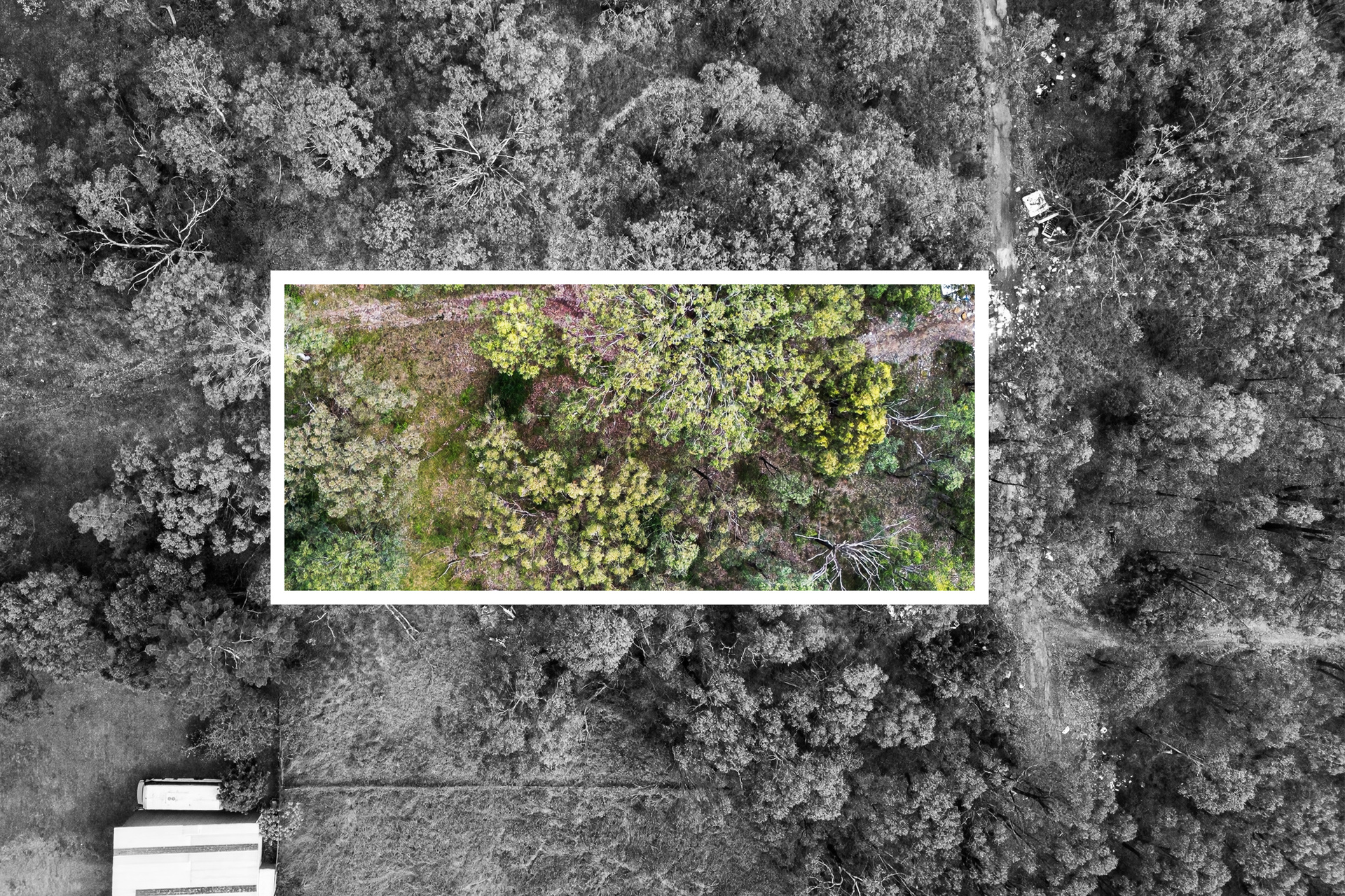 For Sale - Lots 12, 1 Sydney Street - New Property in Grantham Farm - Real Estate by Julie Grigg