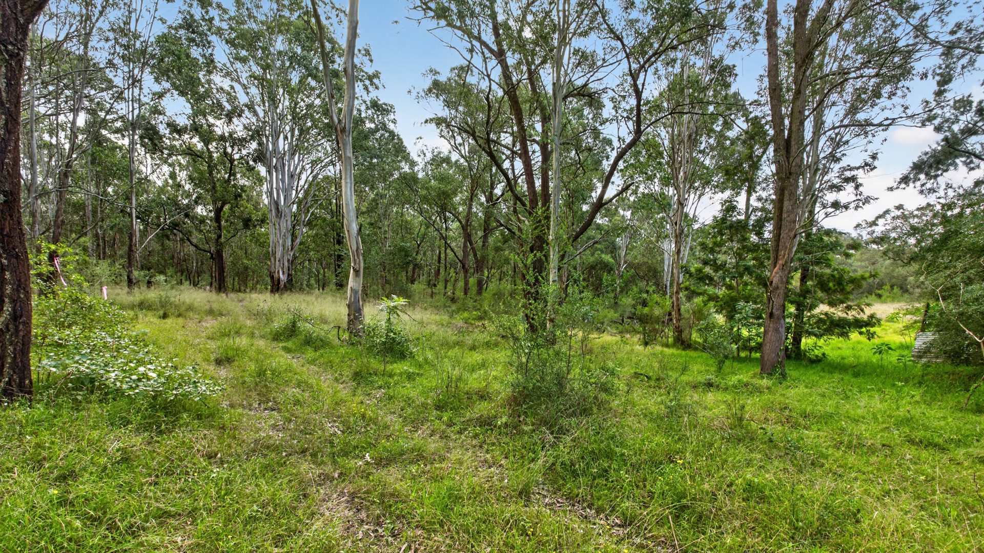 For Sale - Lots 12, 1 Sydney Street - New Property in Grantham Farm - Real Estate by Julie Grigg