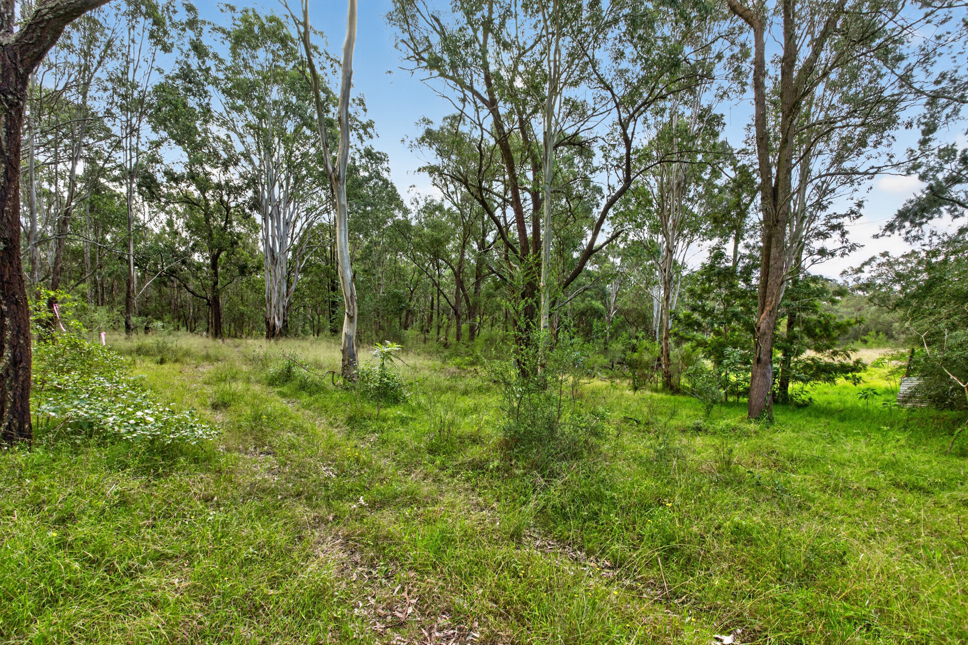 For Sale - Lots 12, 1 Sydney Street - New Property in Grantham Farm - Real Estate by Julie Grigg