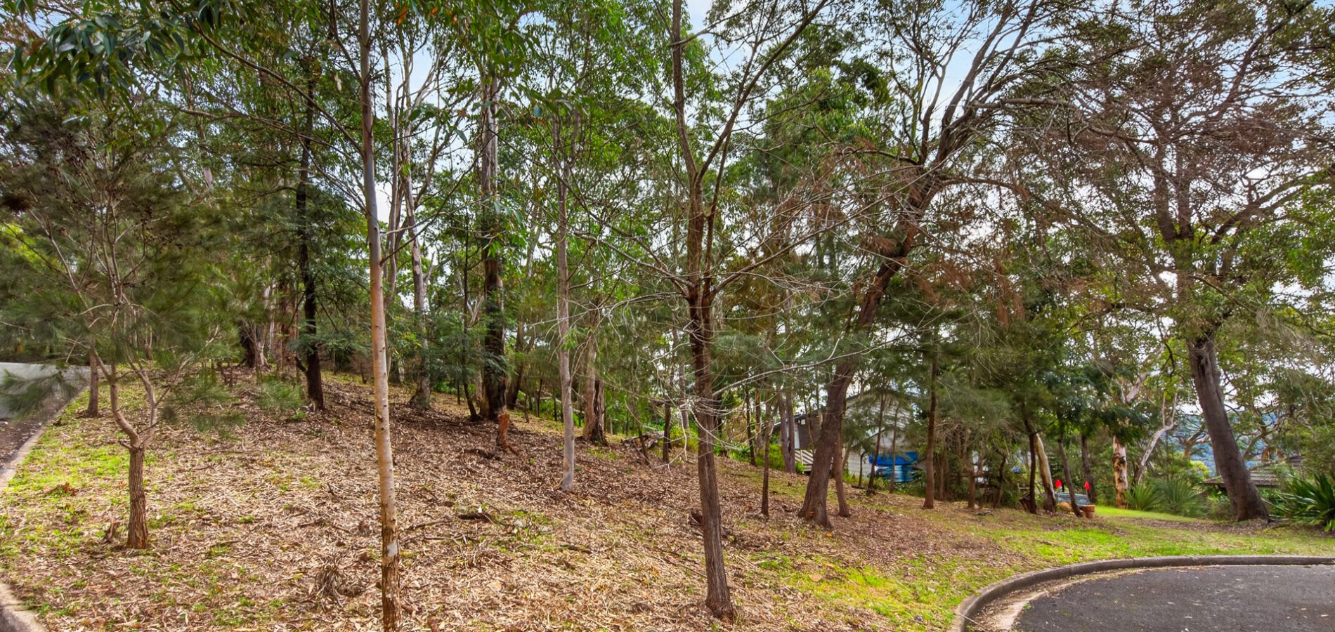 Sold - 1 The Crest - New Property in Hornsby Heights - Real Estate by Mark Vinogradov