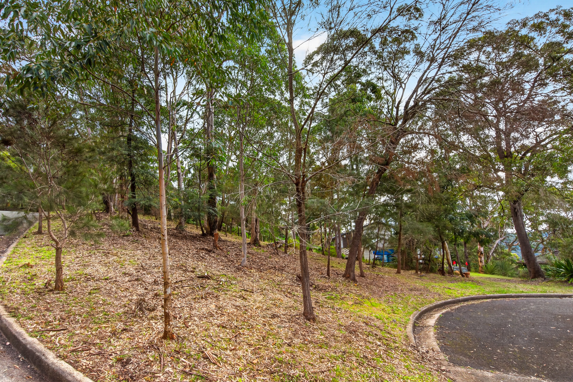 Sold - 1 The Crest - New Property in Hornsby Heights - Real Estate by Mark Vinogradov