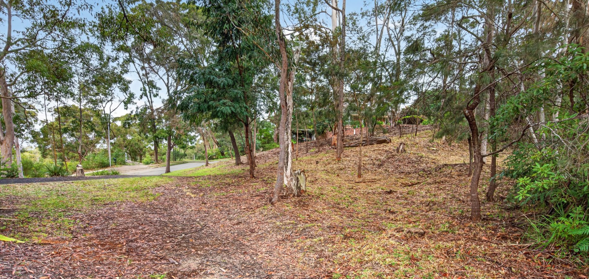 Sold - 1 The Crest - New Property in Hornsby Heights - Real Estate by Mark Vinogradov