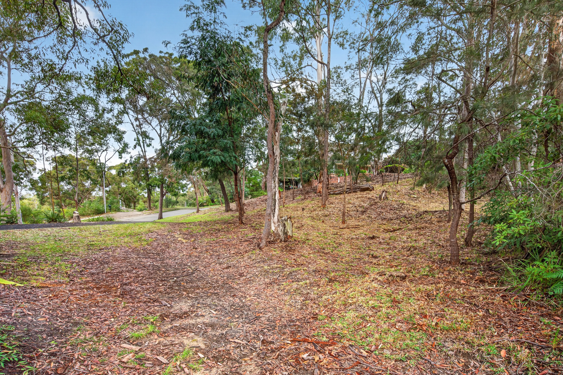 Sold - 1 The Crest - New Property in Hornsby Heights - Real Estate by Mark Vinogradov
