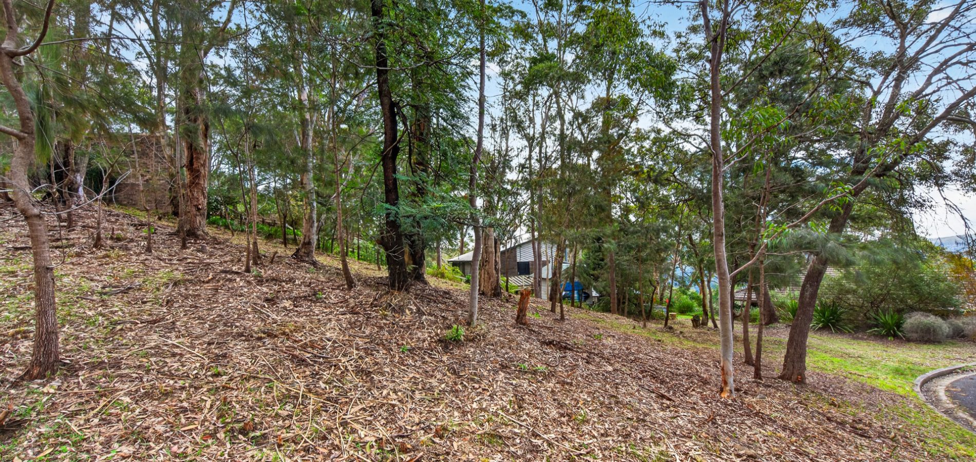 Sold - 1 The Crest - New Property in Hornsby Heights - Real Estate by Mark Vinogradov