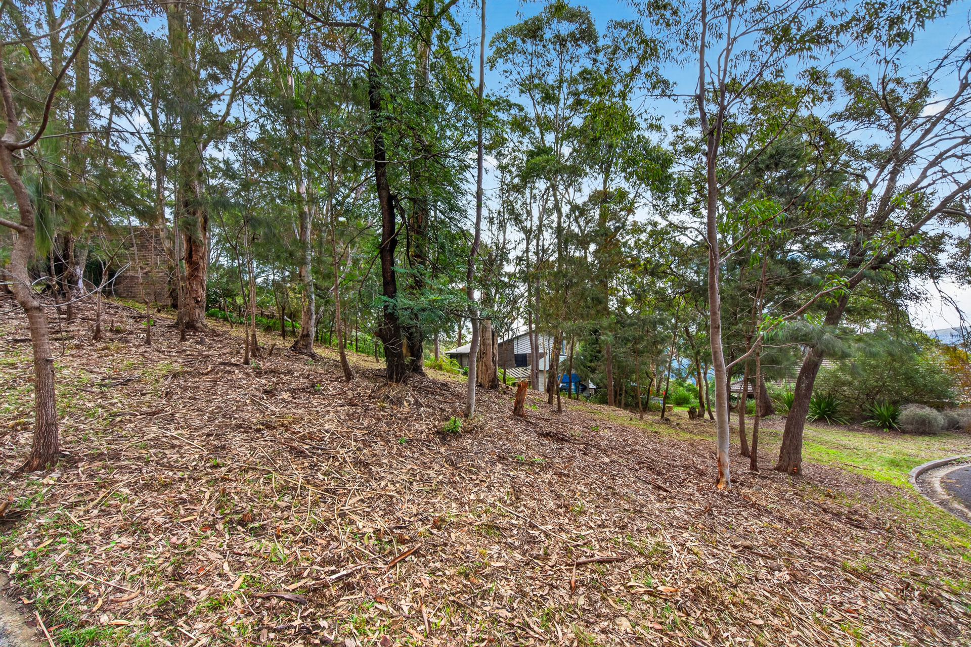 Sold - 1 The Crest - New Property in Hornsby Heights - Real Estate by Mark Vinogradov