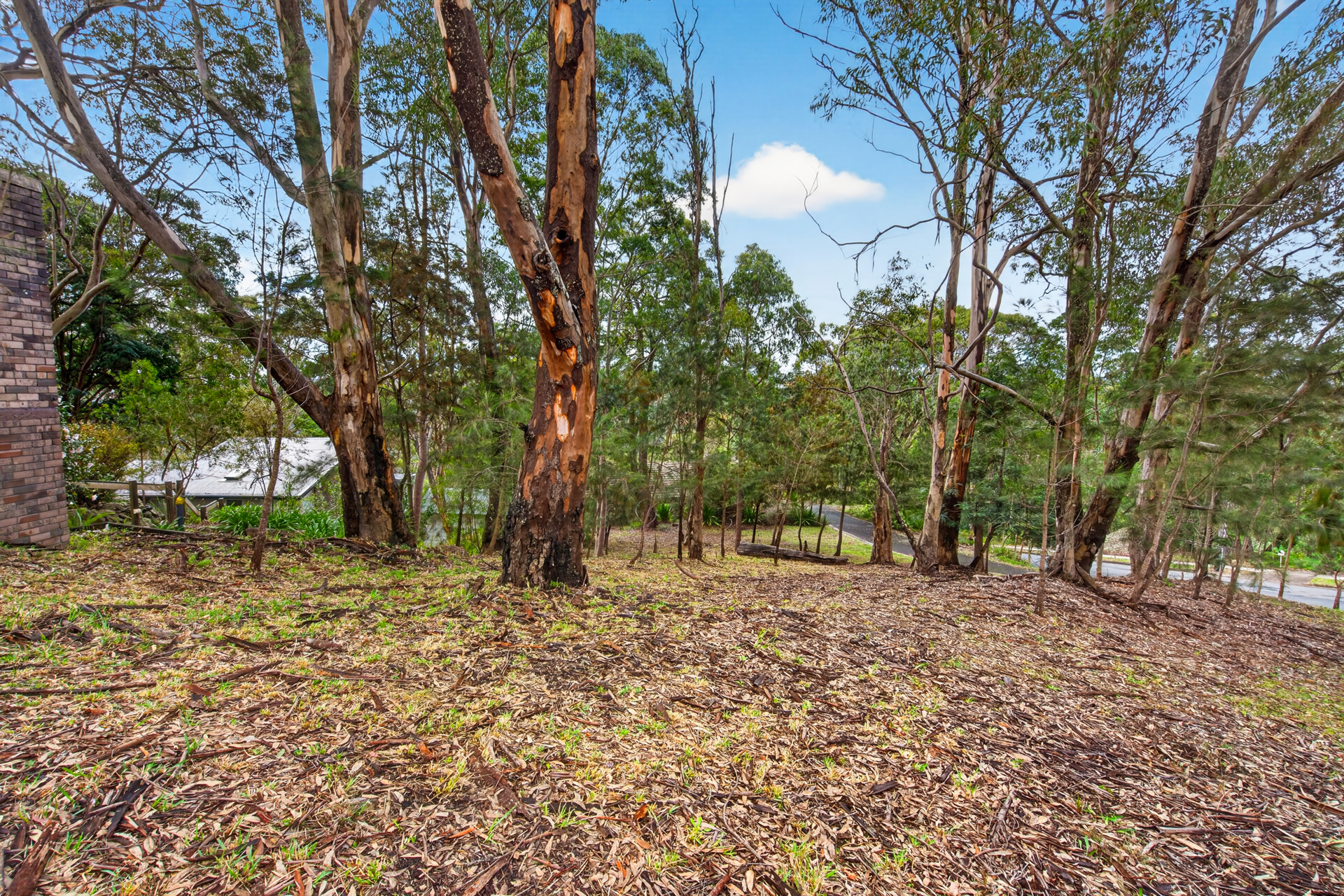 Sold - 1 The Crest - New Property in Hornsby Heights - Real Estate by Mark Vinogradov