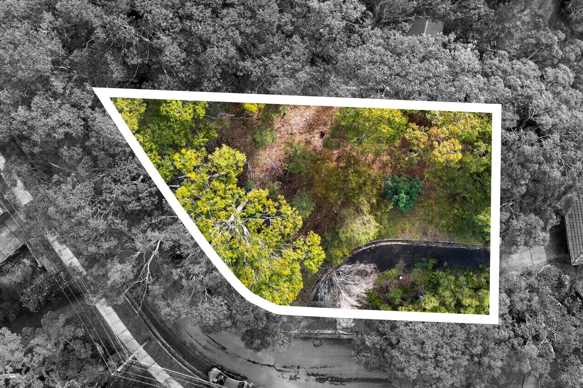 Sold - 1 The Crest - New Property in Hornsby Heights - Real Estate by Mark Vinogradov
