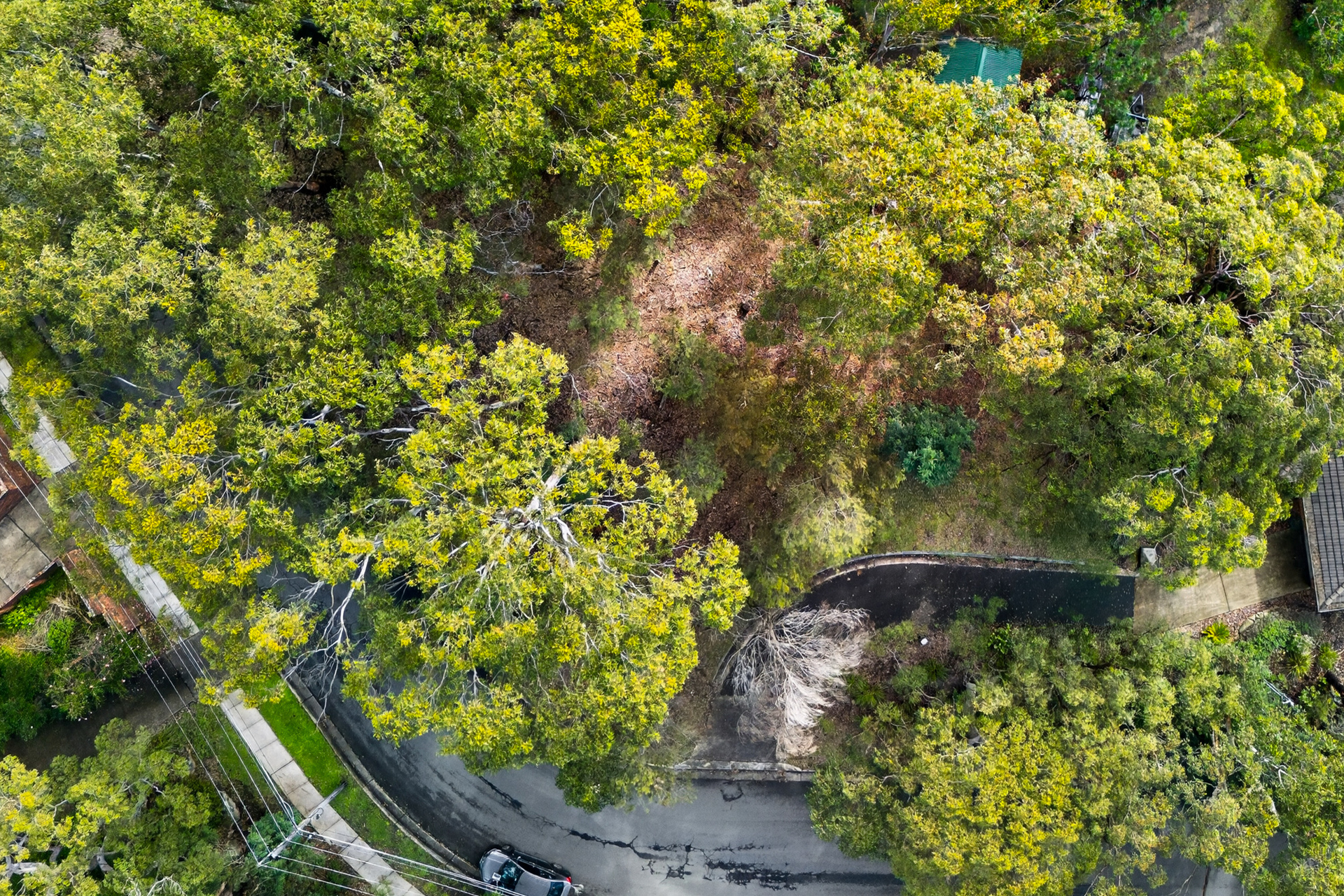 Sold - 1 The Crest - New Property in Hornsby Heights - Real Estate by Mark Vinogradov
