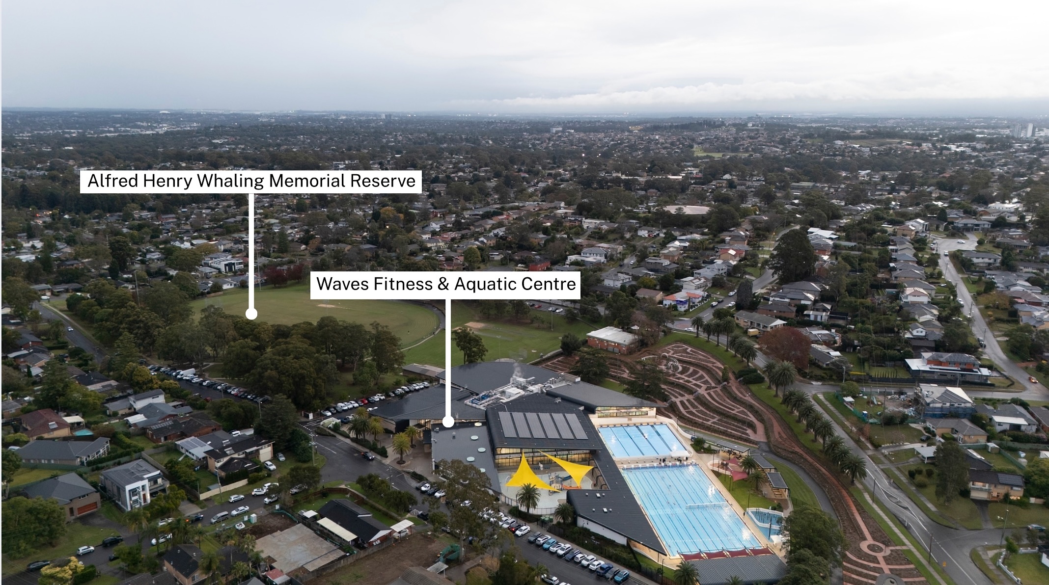 Auction - 9 Bowman Avenue - New Property in Castle Hill - Real Estate by Richard Hayek