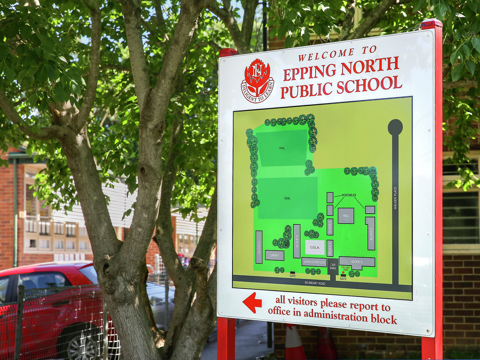 Auction - 26 Downes Street - New Property in North Epping - Real Estate by Betty Ockerlander