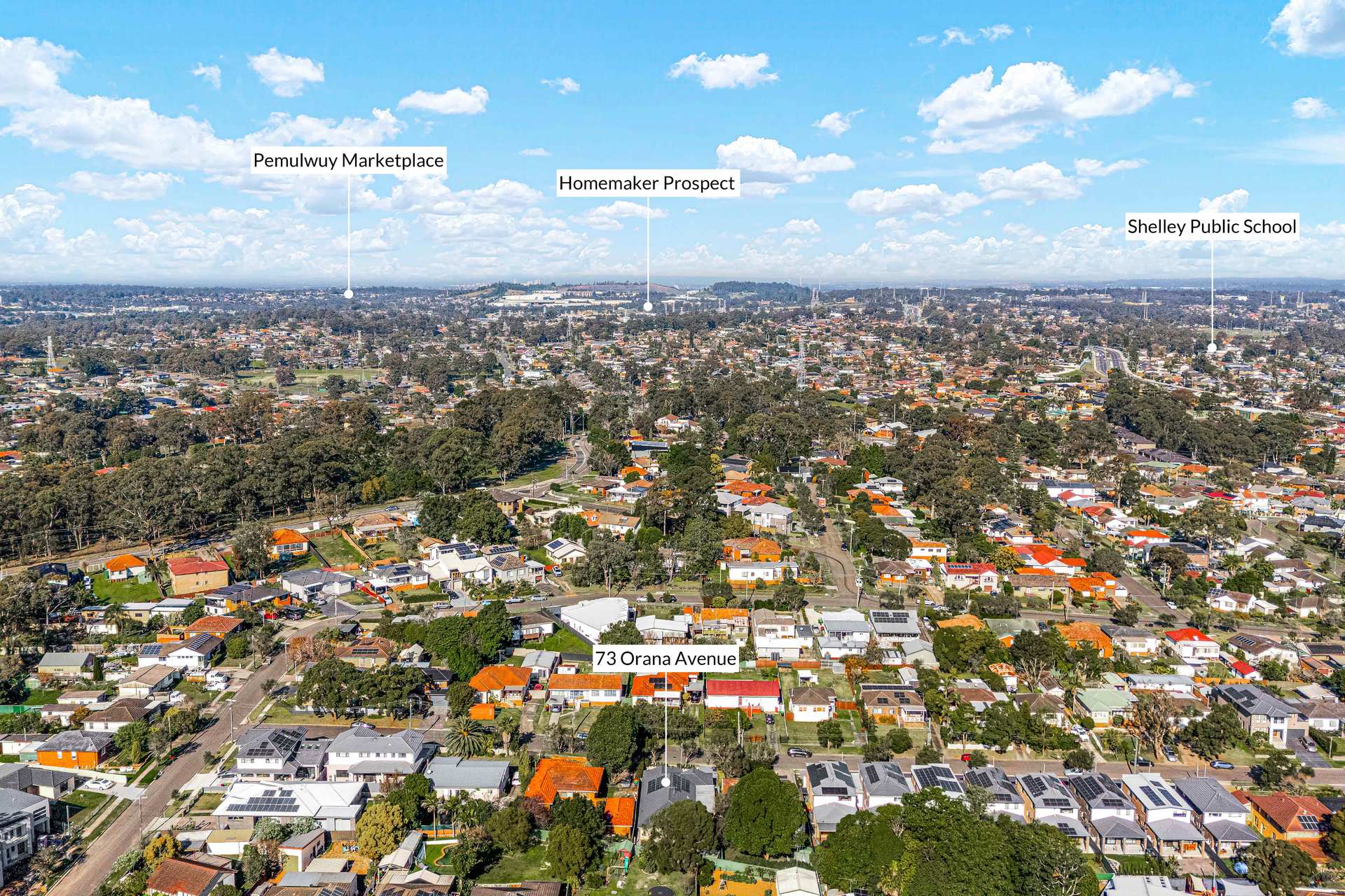 Auction - 73 Orana Avenue - New Property in Seven Hills - Real Estate by Tariq Jameel