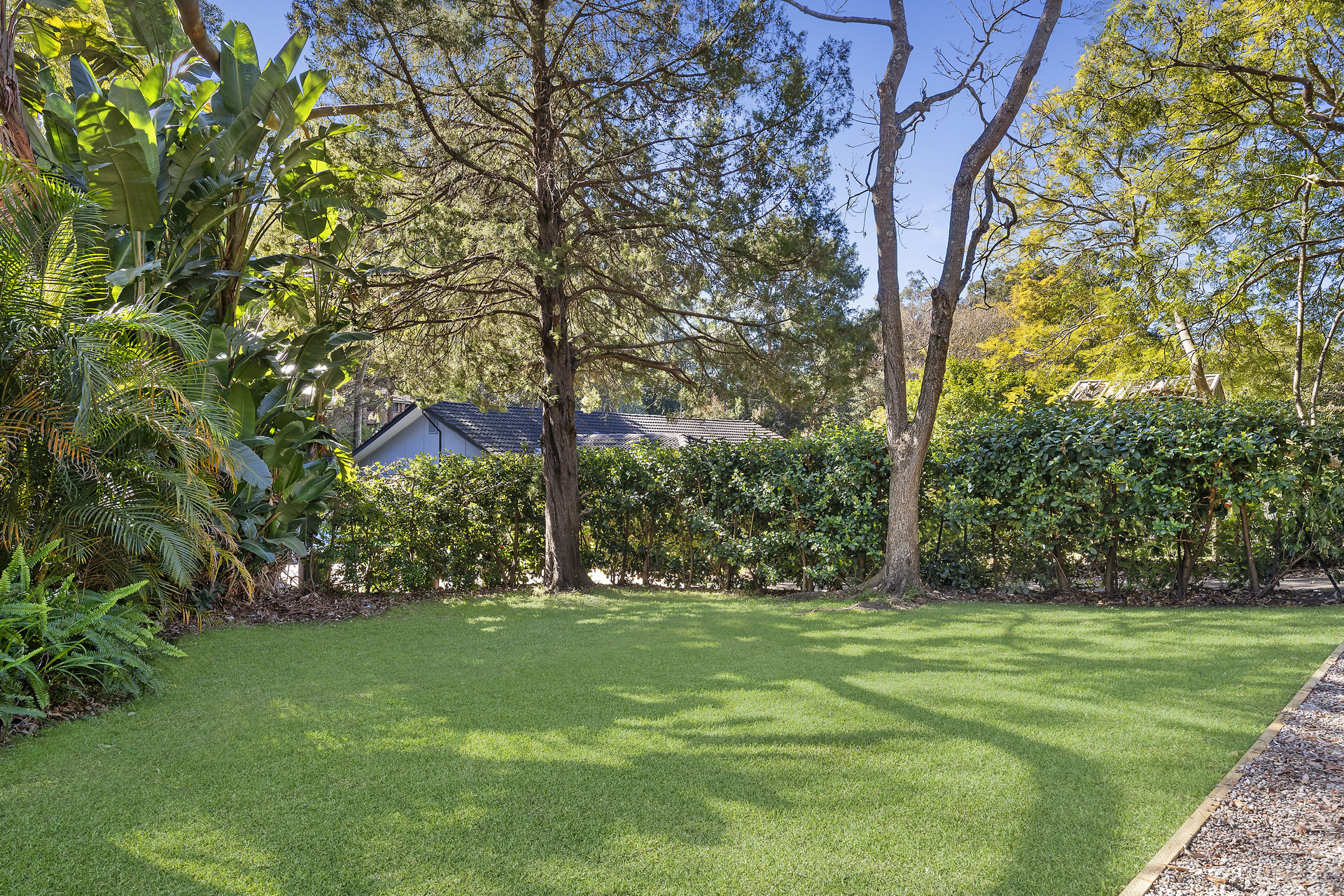 Auction - 78 Sutherland Road - New Property in Beecroft - Real Estate by Nick Bedford