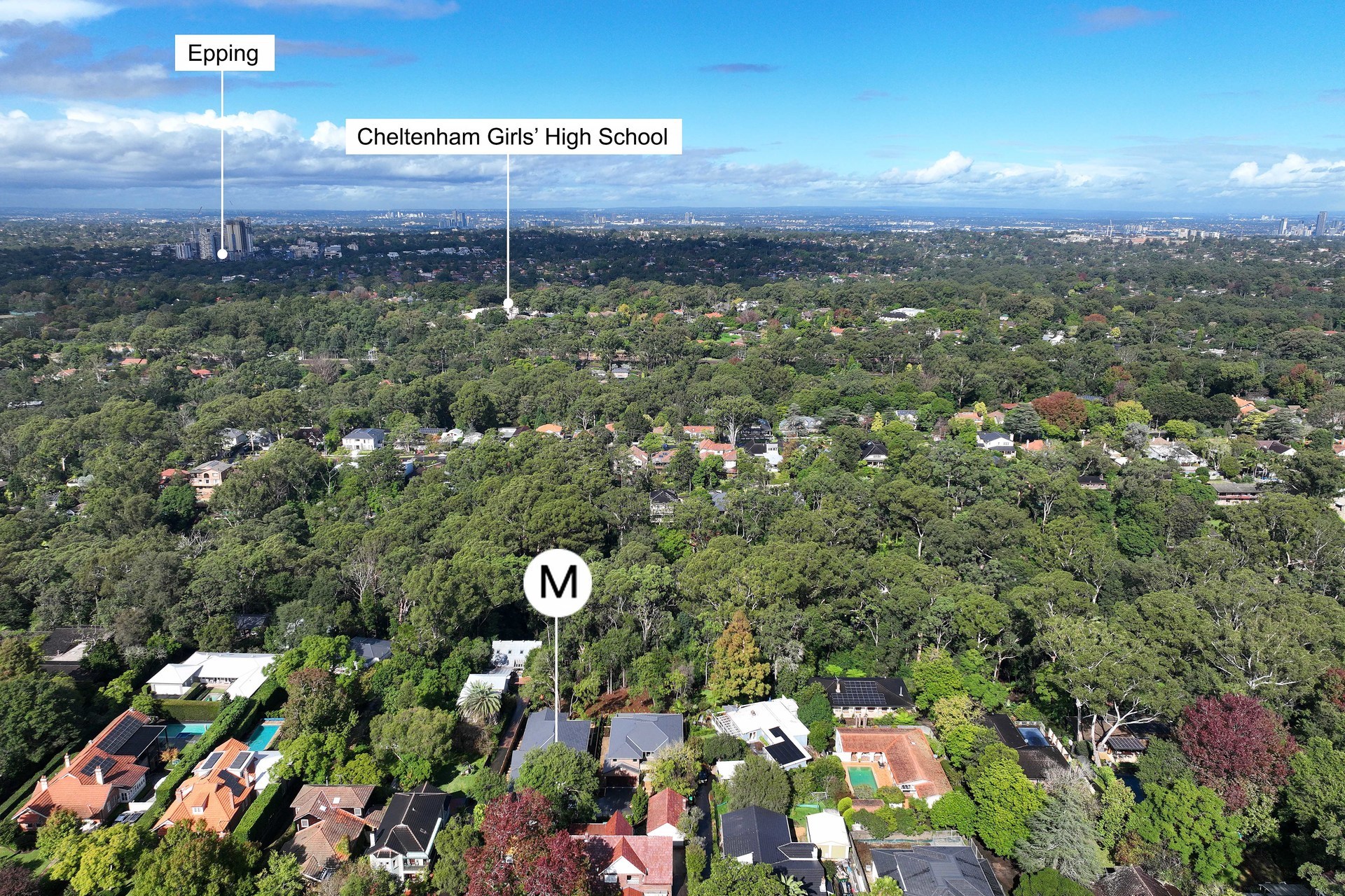 For Rent - 38B Malton Road - New Property in Beecroft - Real Estate by Matthew Elazzi