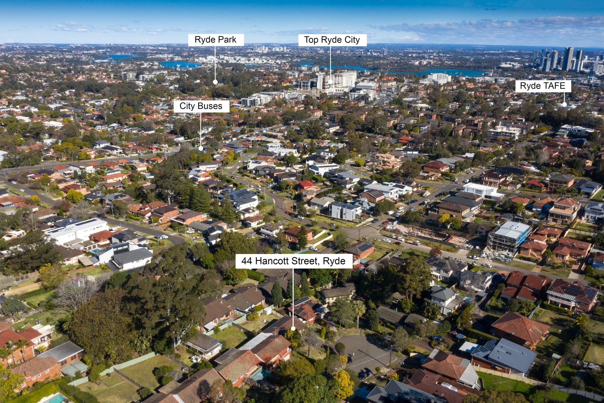 Auction - 44 Hancott Street - New Property in Ryde - Real Estate by Catherine Lu