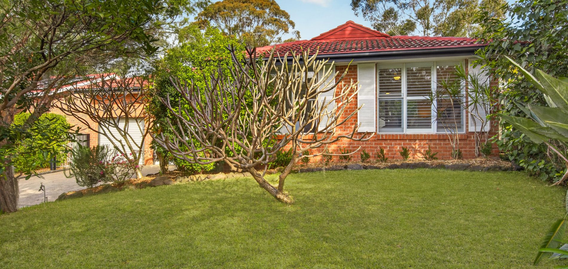 Auction - 16 Hodges Street - New Property in Kings Langley - Real Estate by Kim McChlery