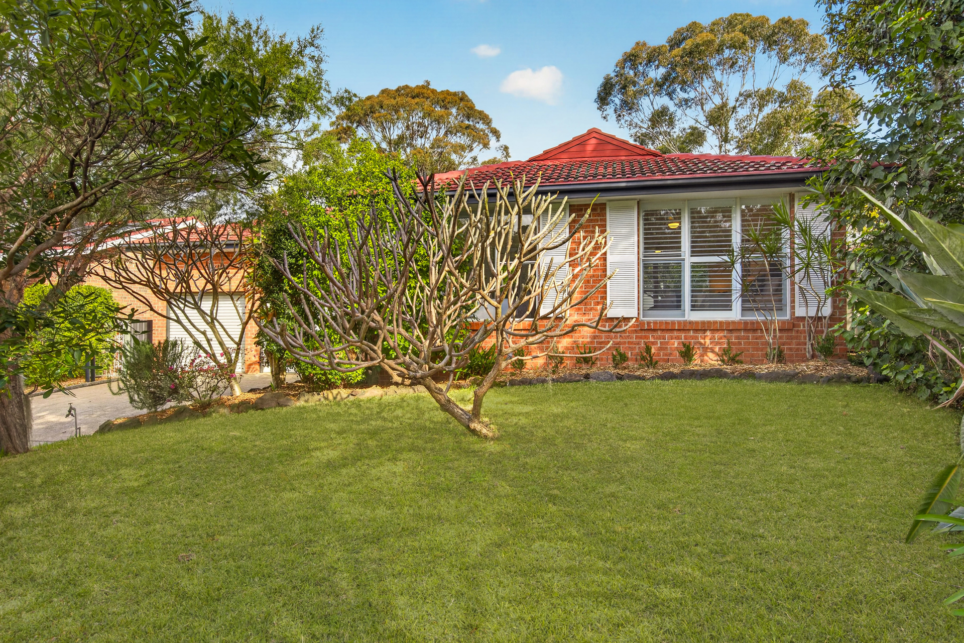 Auction - 16 Hodges Street - New Property in Kings Langley - Real Estate by Kim McChlery
