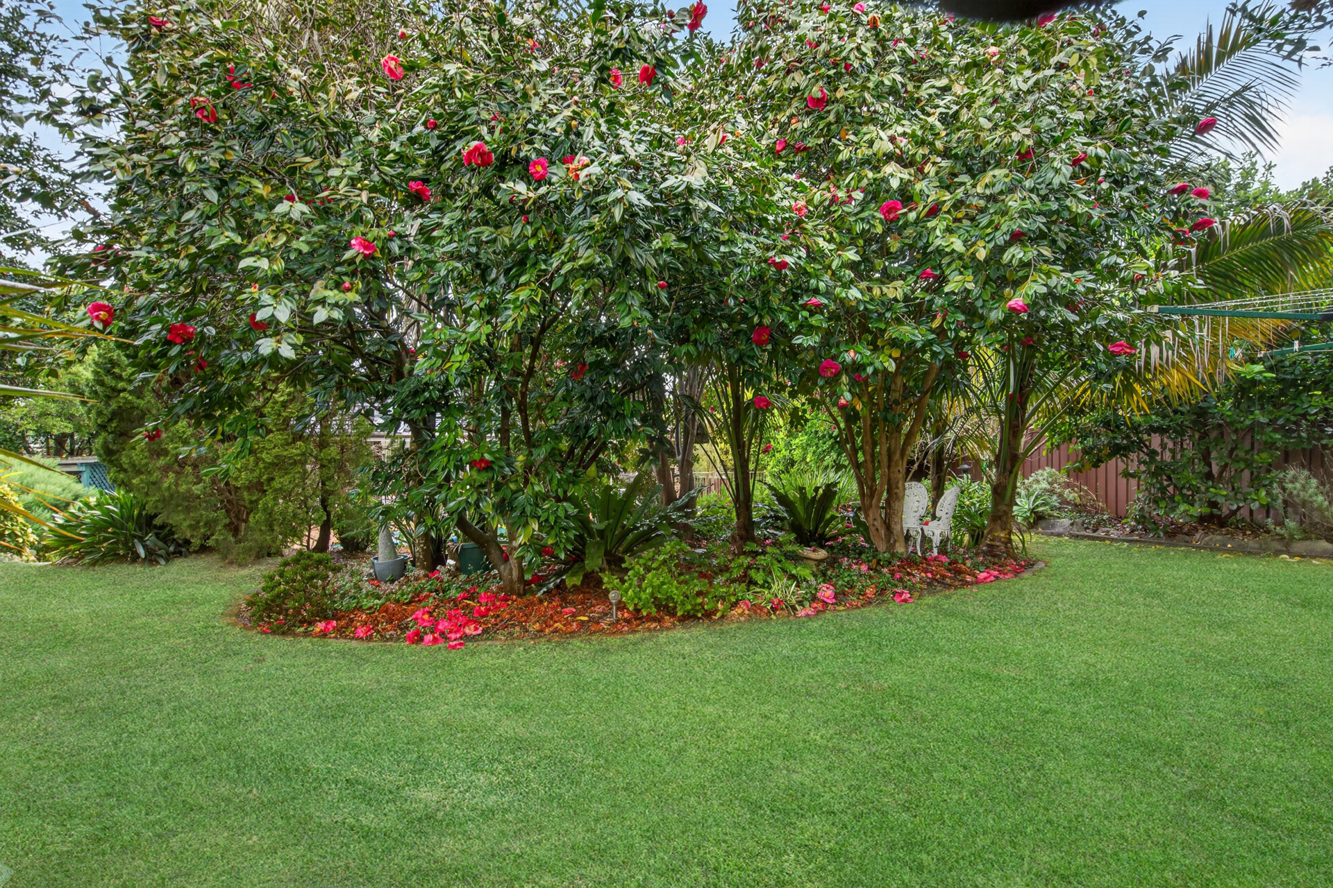 Auction - 91 Eaton Road - New Property in West Pennant Hills - Real Estate by Mark Vinogradov