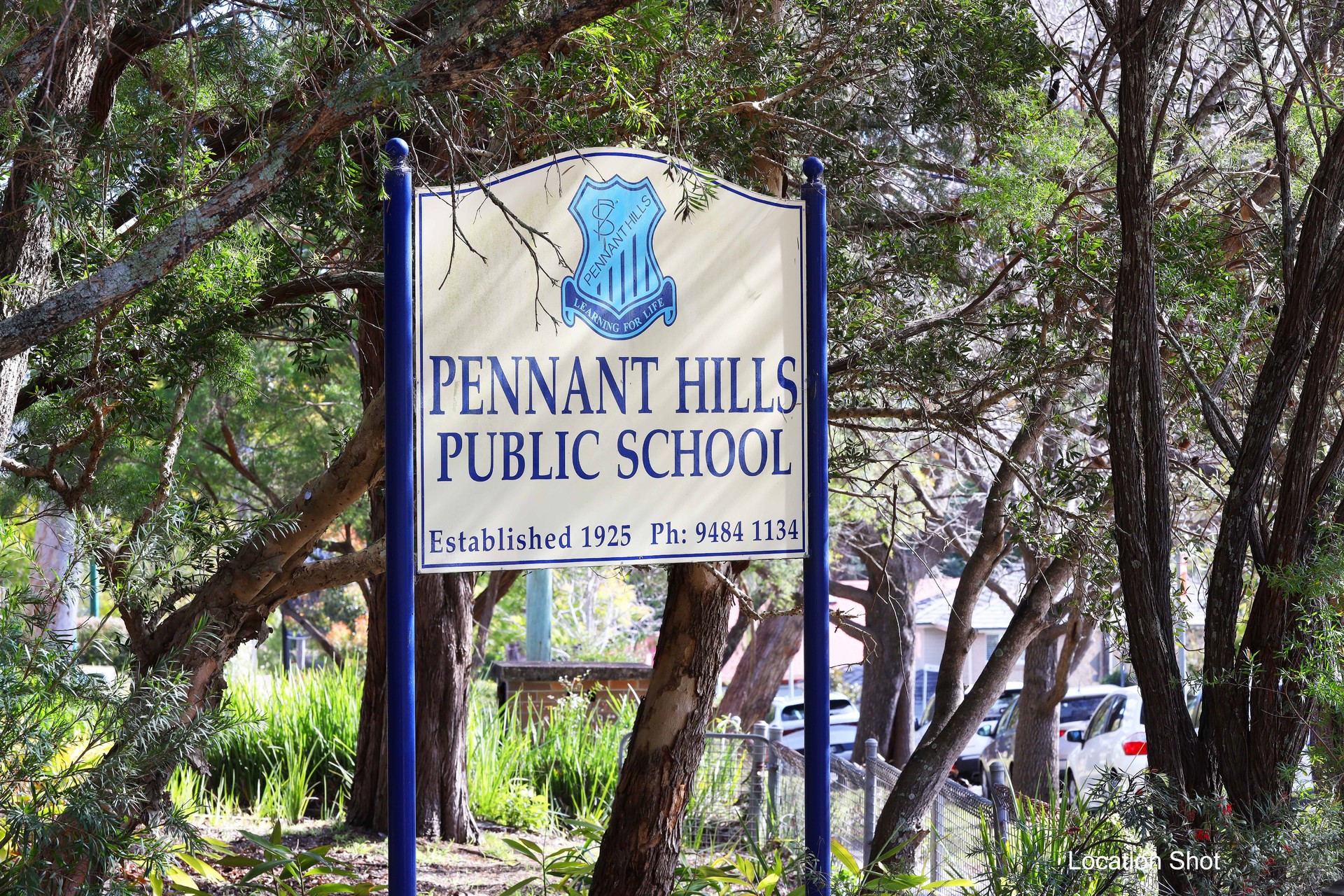 Auction - 38 Azalea Grove - New Property in Pennant Hills - Real Estate by Belinda Hill
