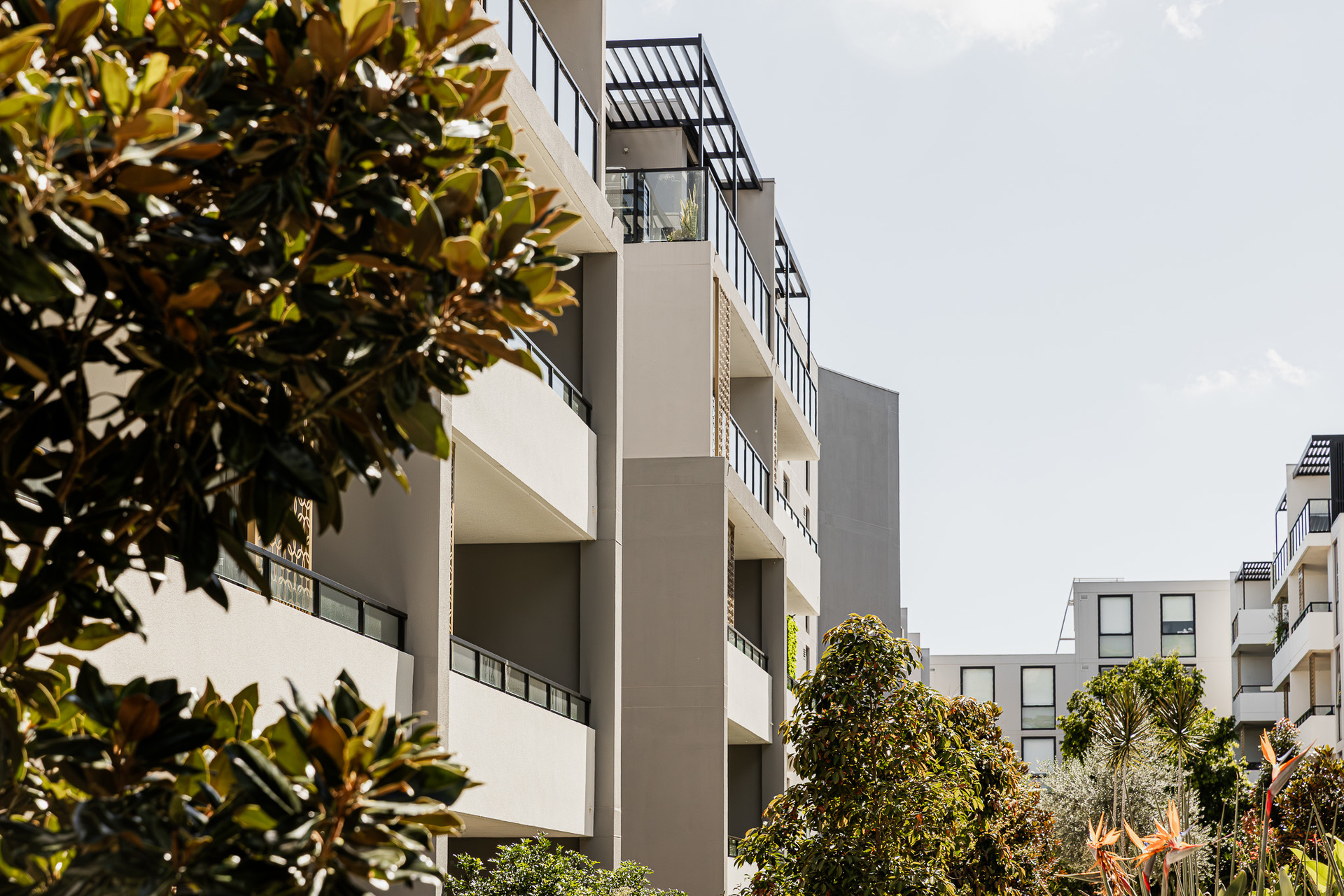 For Sale - G1.603/23-27 Schofields Road - New Property in Tallawong - Real Estate by Adam Sparkes