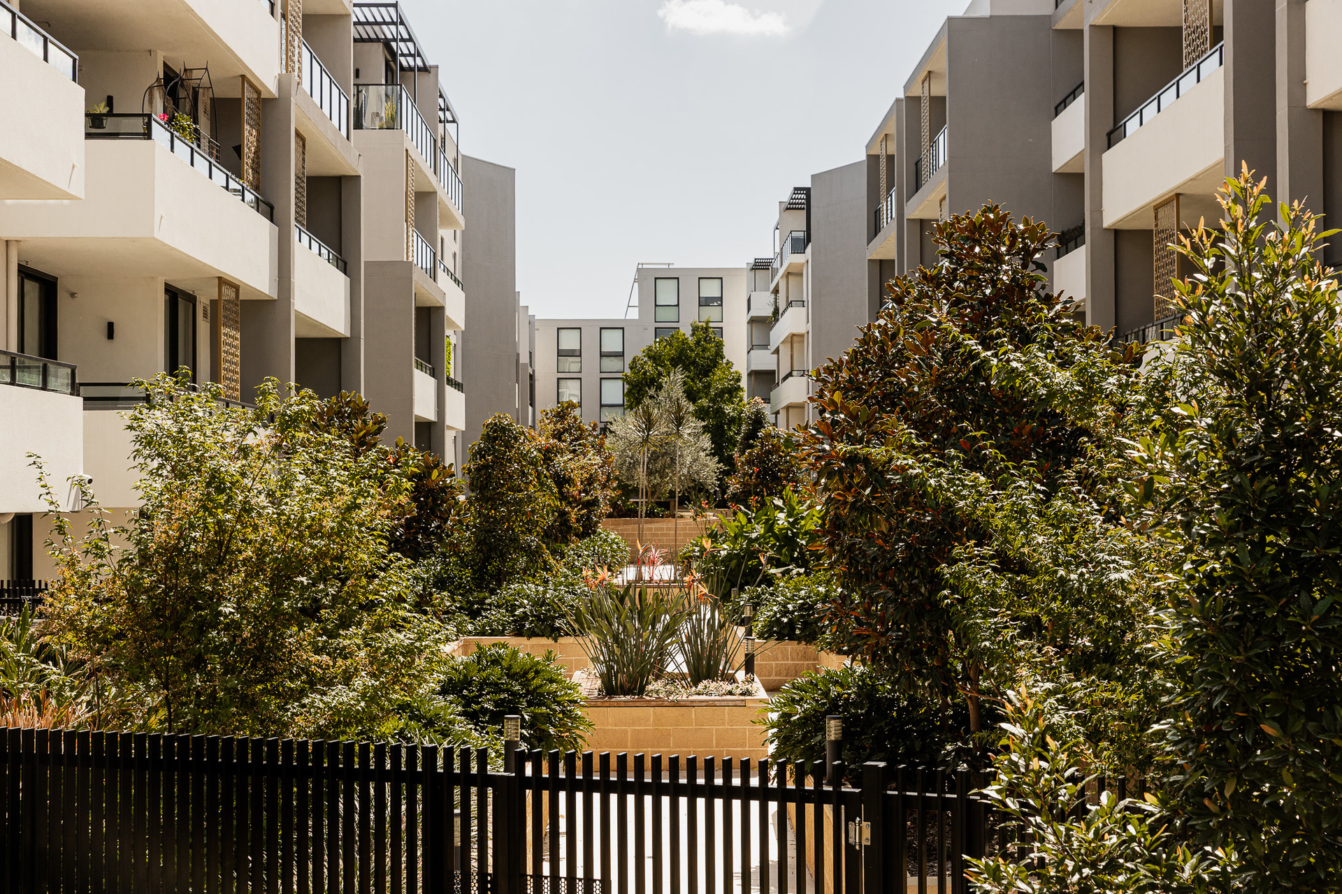 For Sale - G1.603/23-27 Schofields Road - New Property in Tallawong - Real Estate by Adam Sparkes