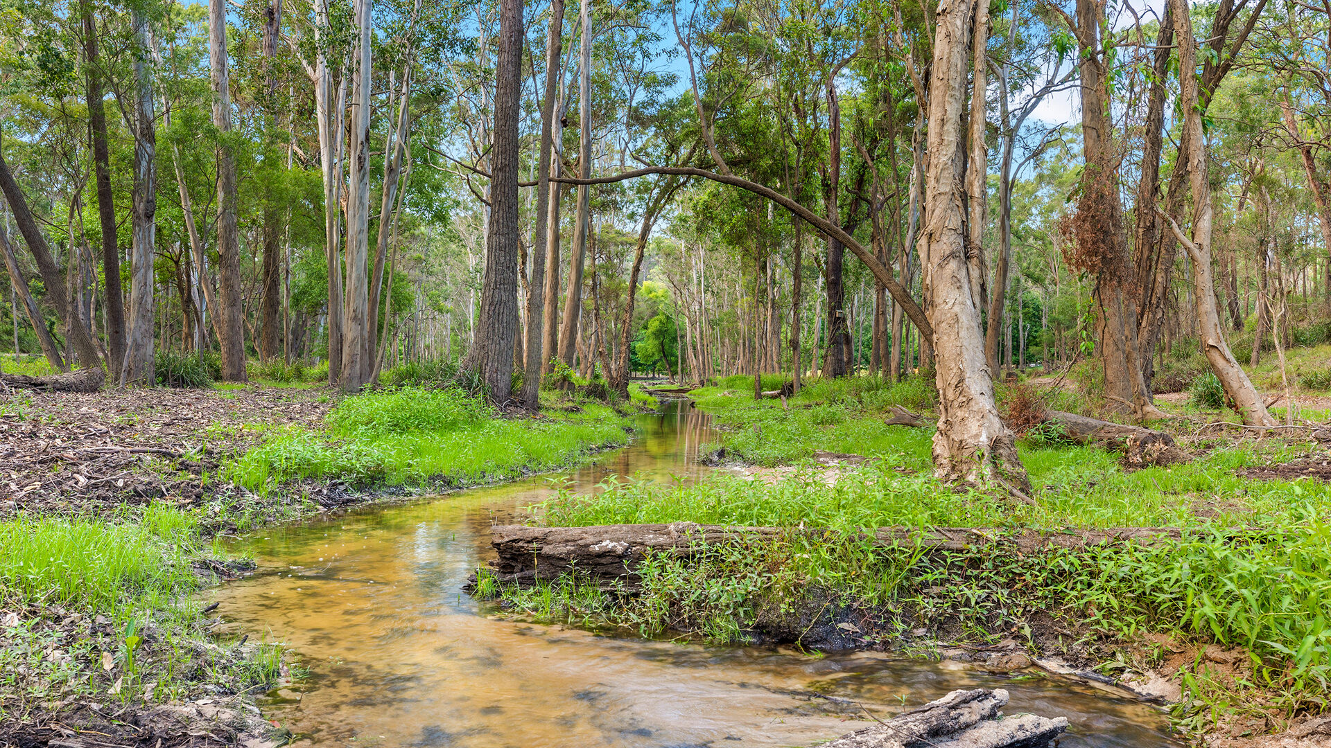 For Sale - 9 Bloodwood Place - New Property in Kenthurst - Real Estate by Louis Stapleton