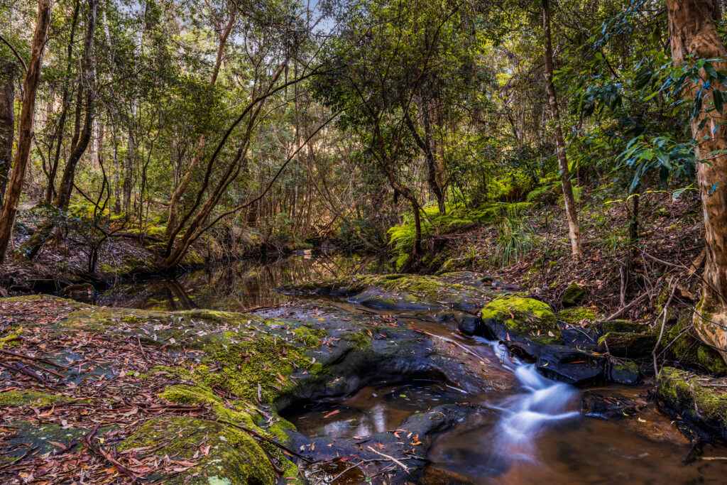 For Sale - 83H Willow Glen Road - New Property in Kurrajong - Real Estate by Greg Vincent