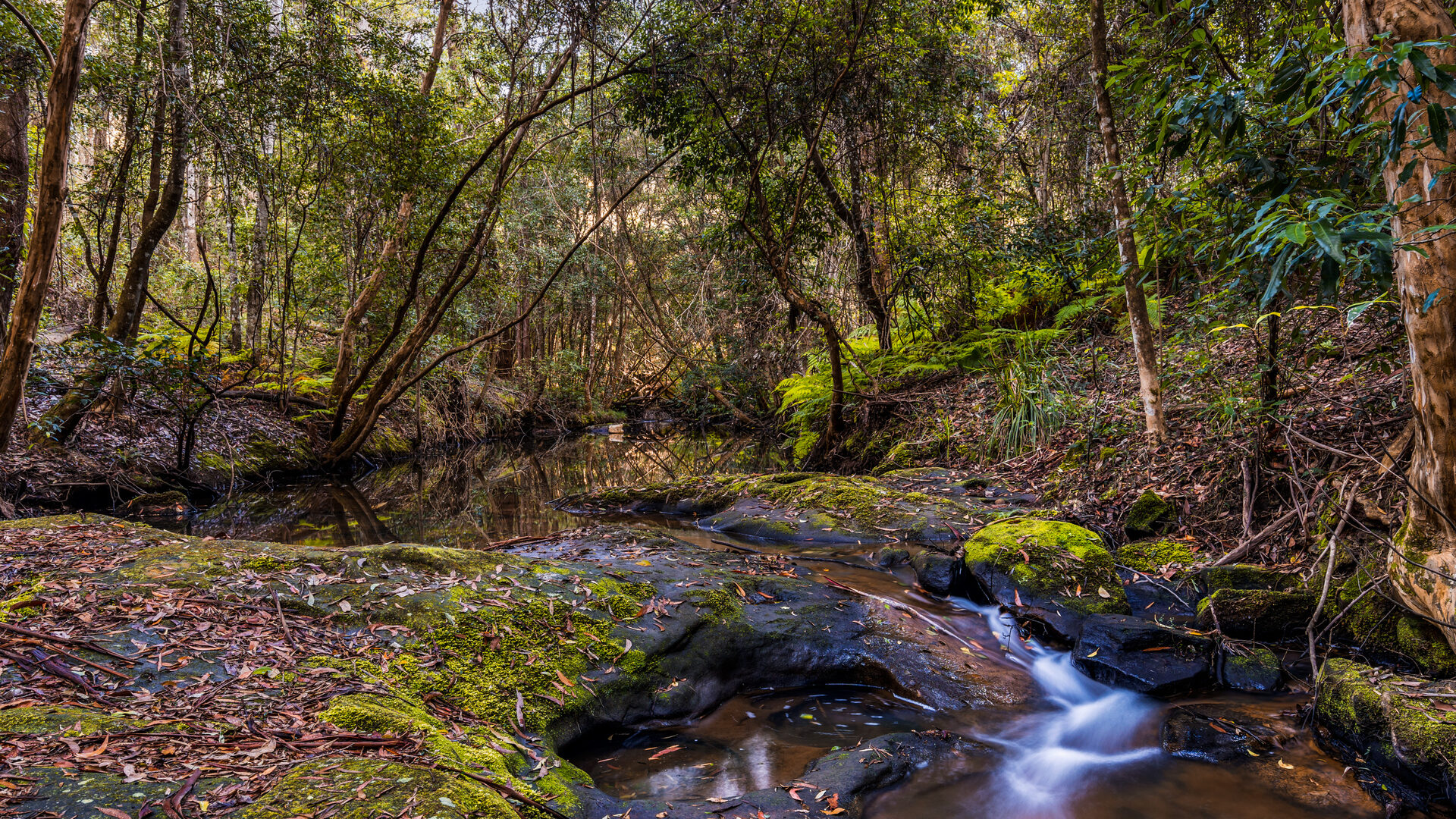 For Sale - 83H Willow Glen Road - New Property in Kurrajong - Real Estate by Greg Vincent