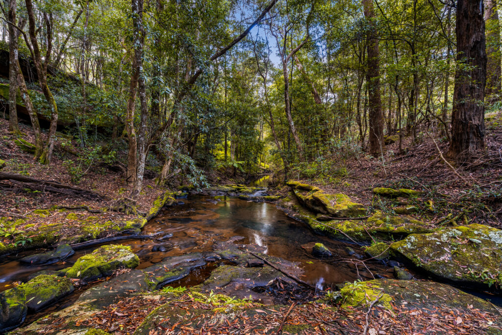 For Sale - 83H Willow Glen Road - New Property in Kurrajong - Real Estate by Greg Vincent