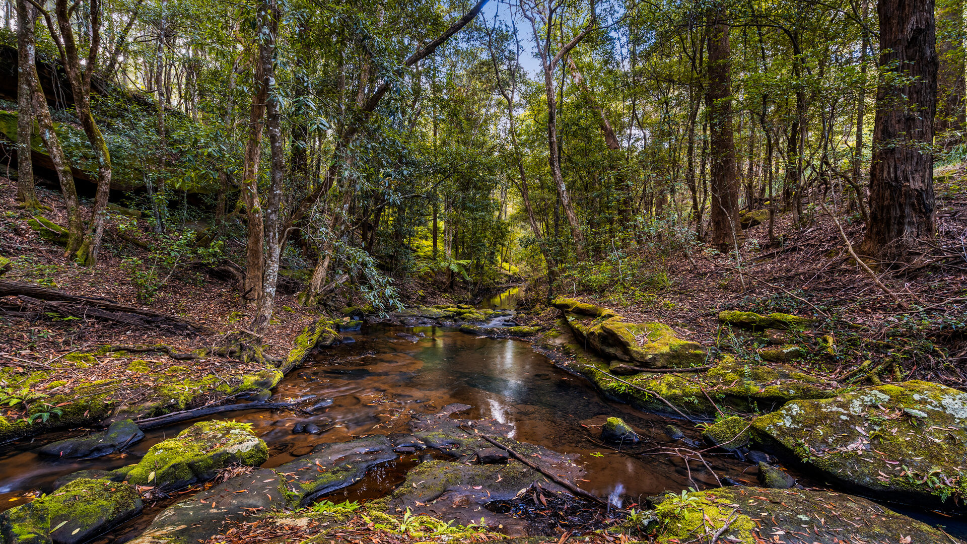 For Sale - 83H Willow Glen Road - New Property in Kurrajong - Real Estate by Greg Vincent